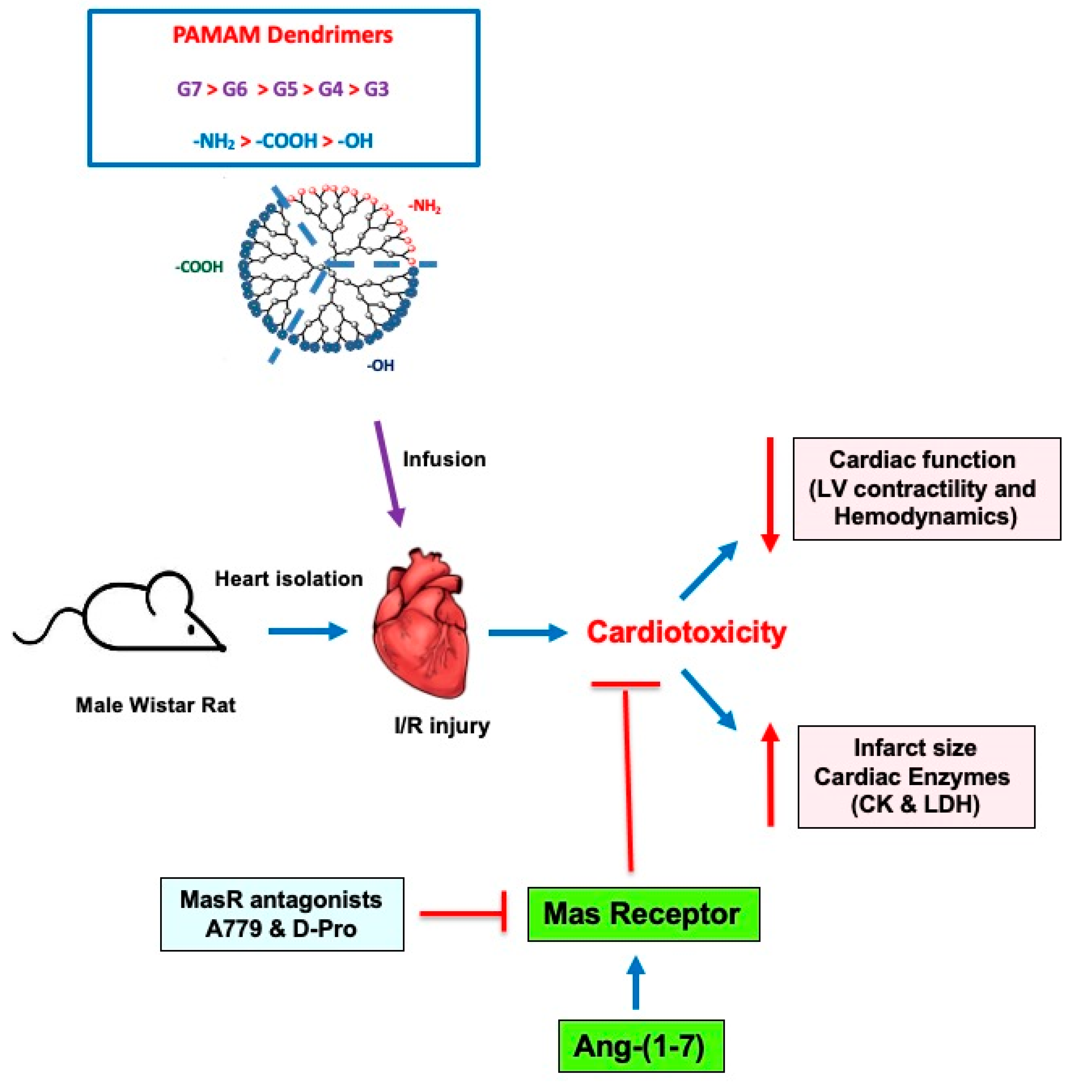 Pharmaceutics 14 02673 g006