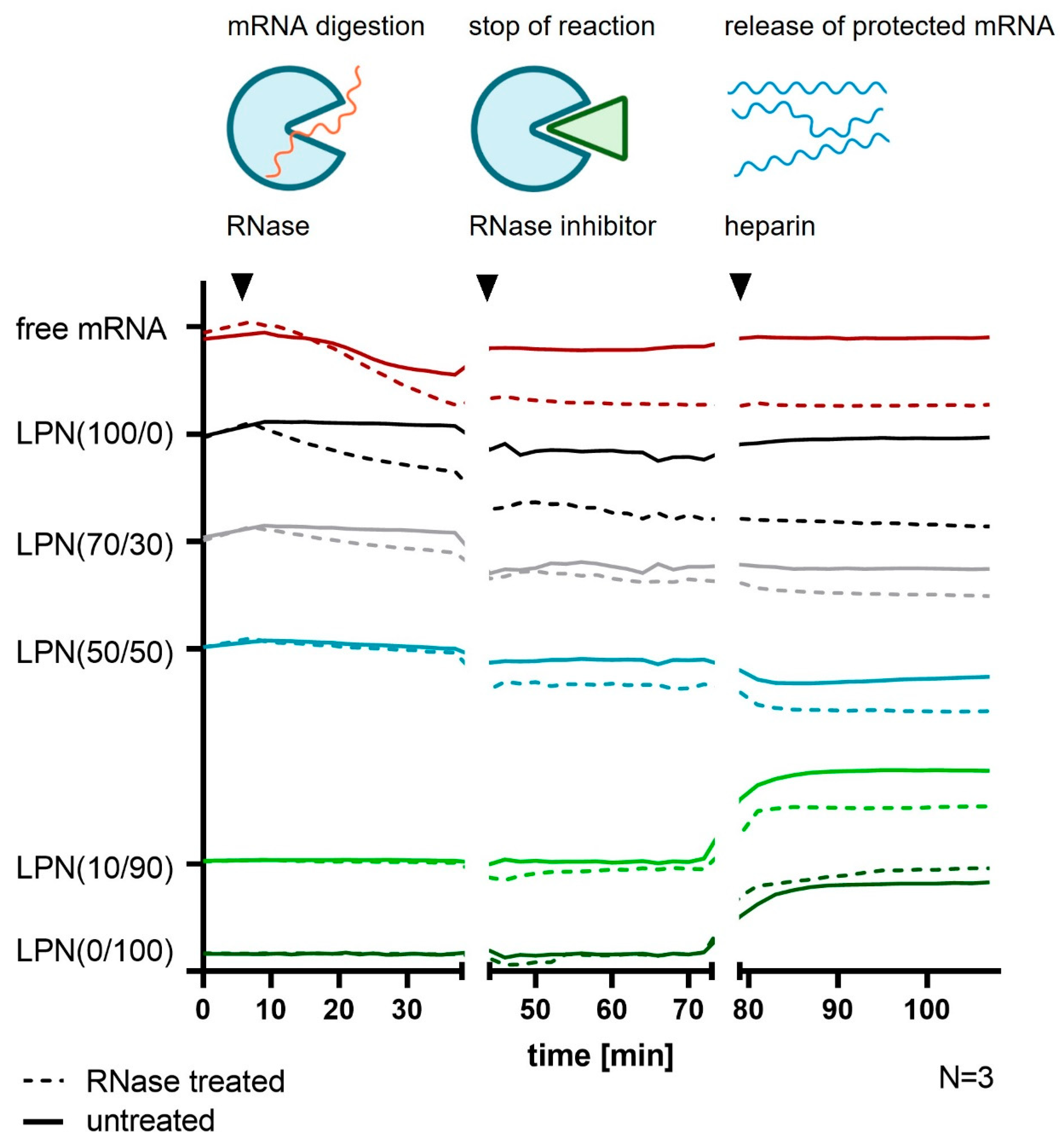 Pharmaceutics 14 02675 g005
