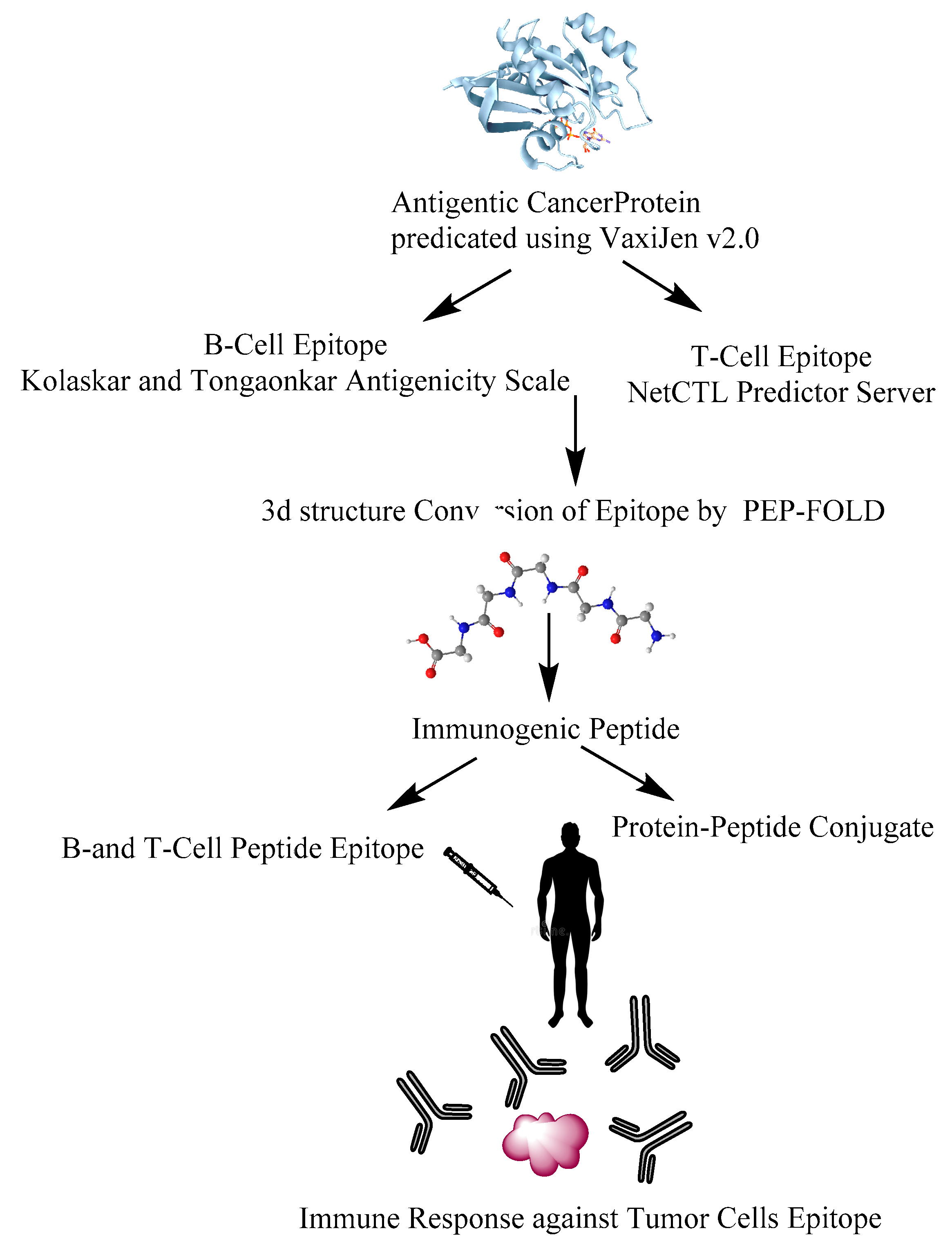 Pharmaceutics 14 02686 g004