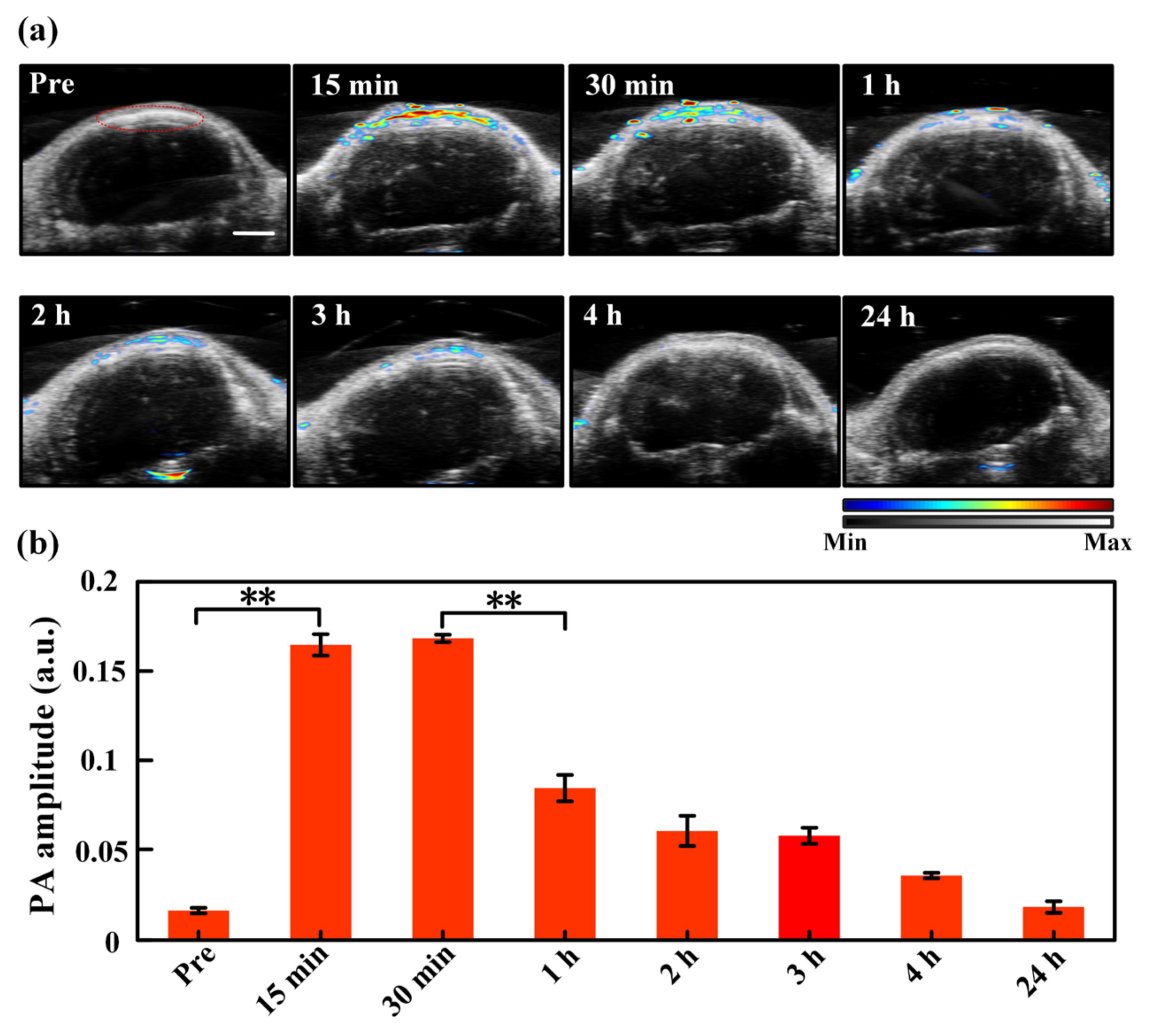 Pharmaceutics 14 02689 g003