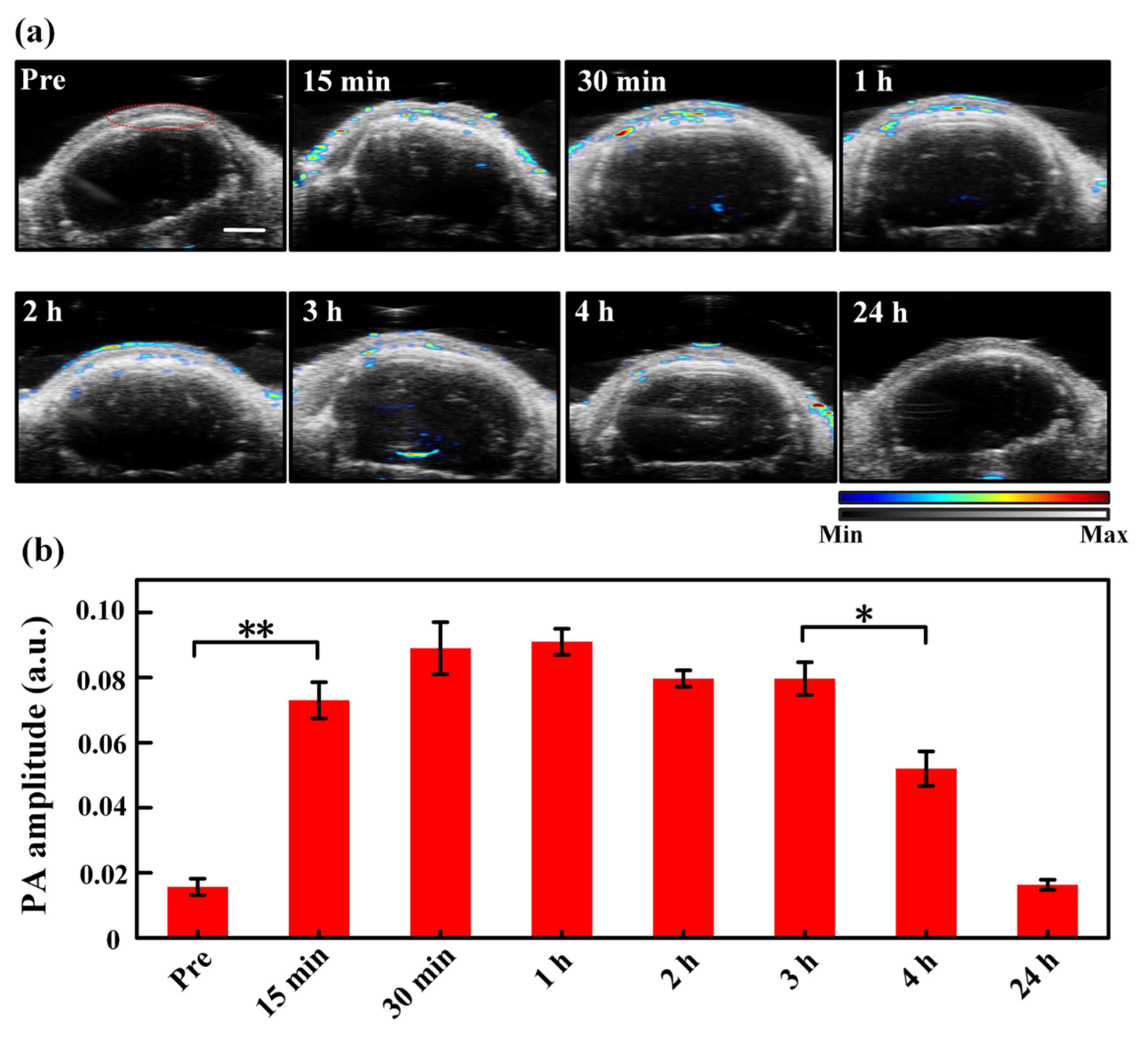 Pharmaceutics 14 02689 g004