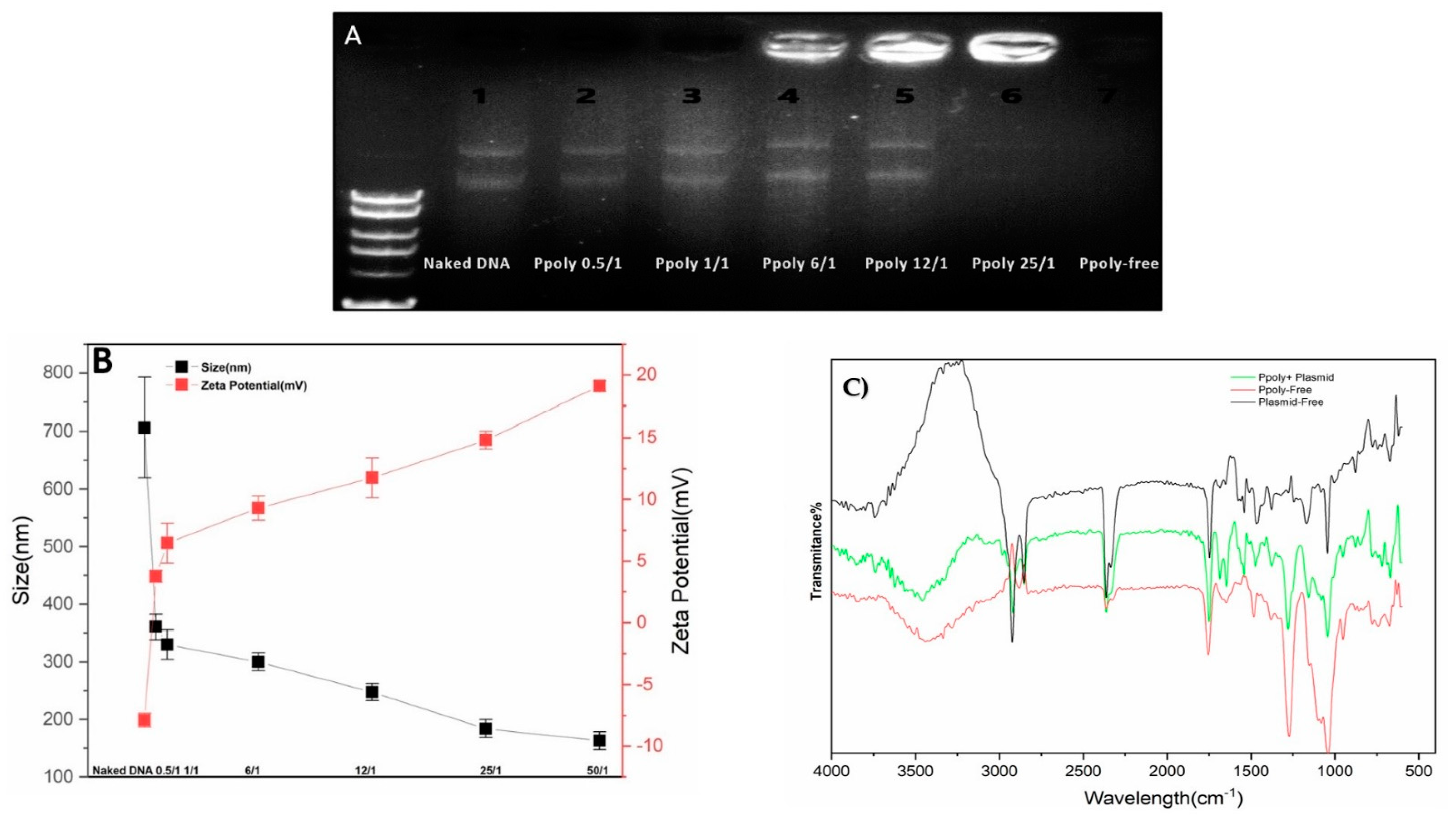 Pharmaceutics 14 02690 g002