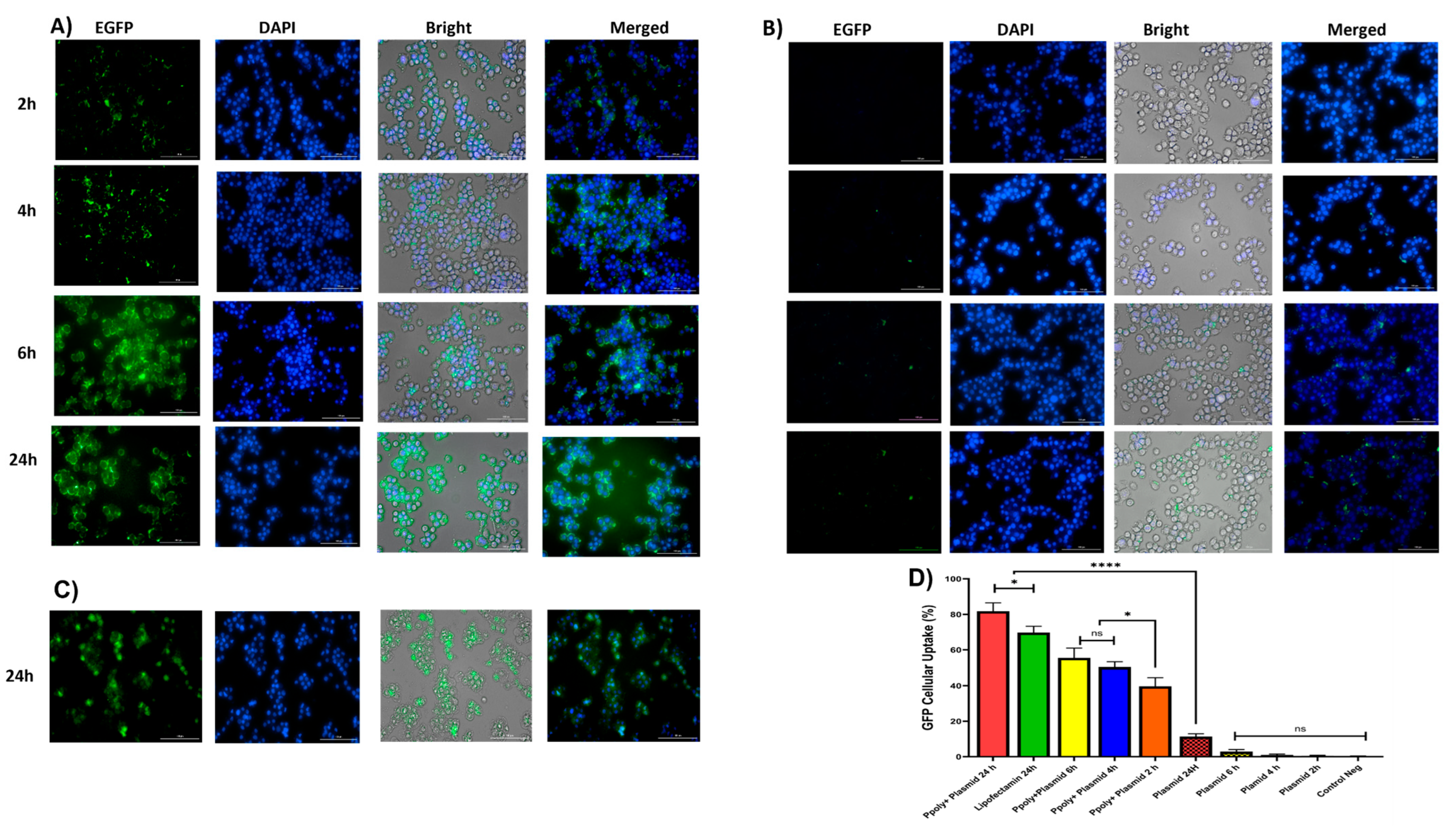 Pharmaceutics 14 02690 g006
