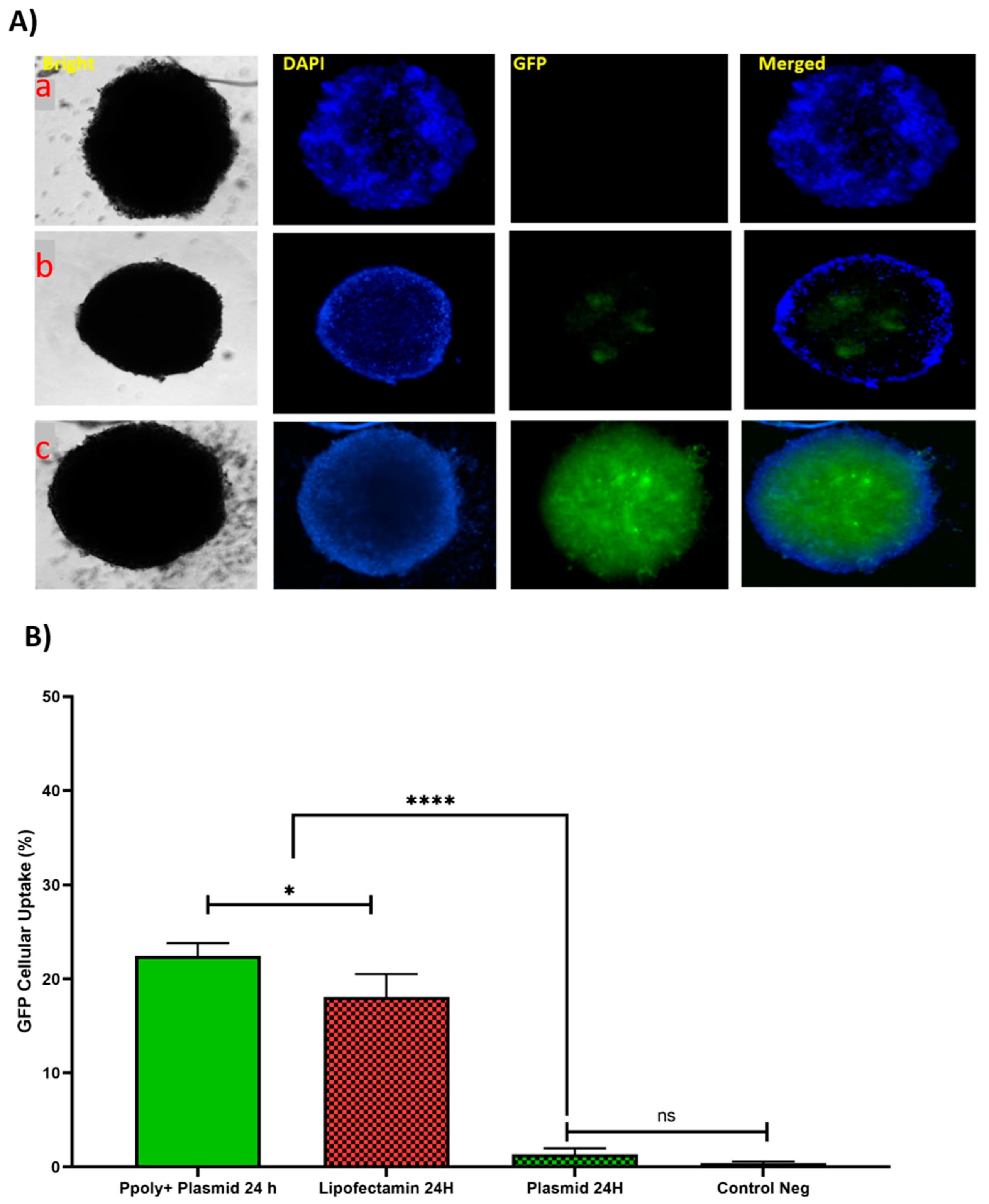 Pharmaceutics 14 02690 g007