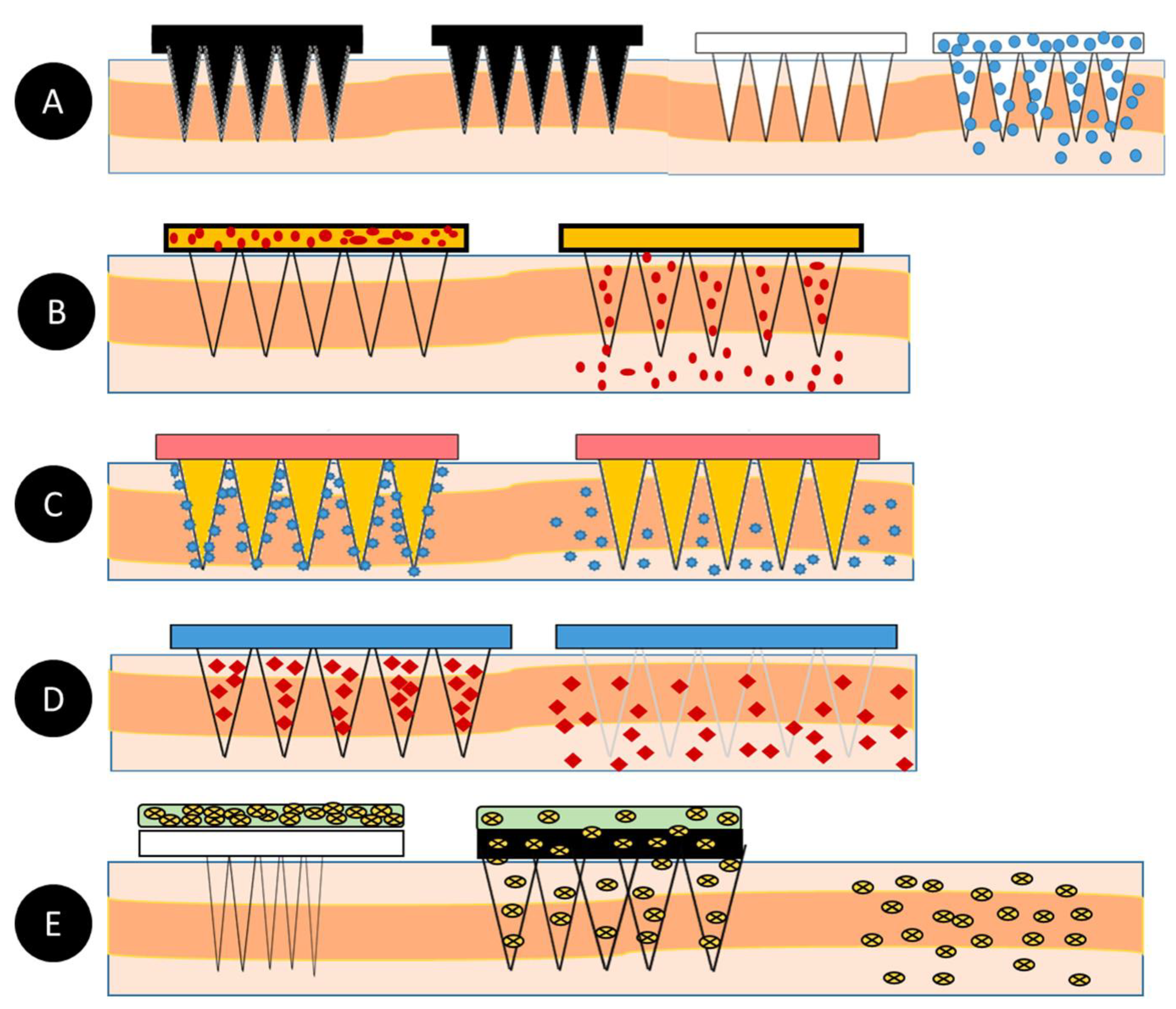 Pharmaceutics 14 02693 g002
