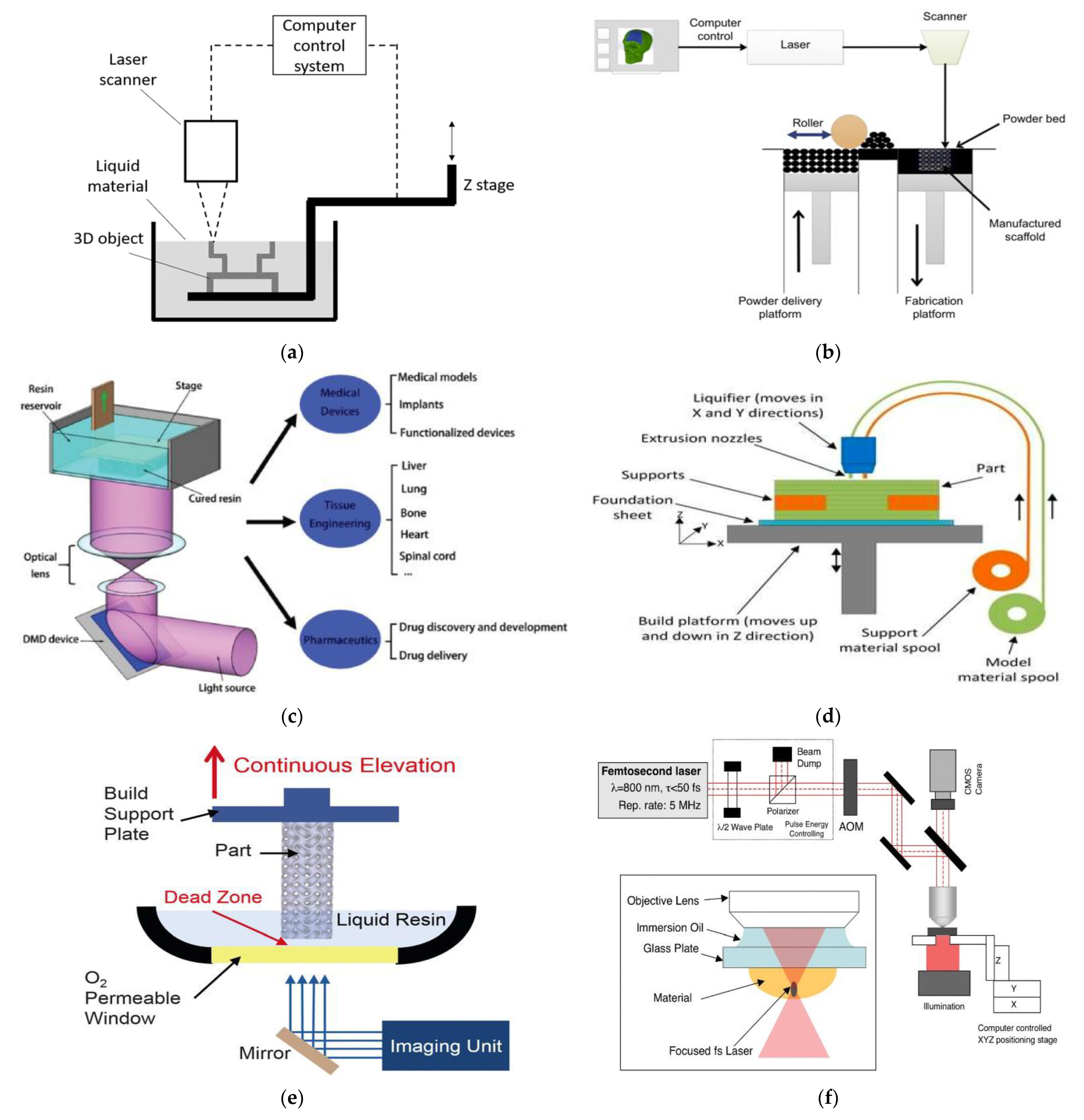 Pharmaceutics 14 02693 g003