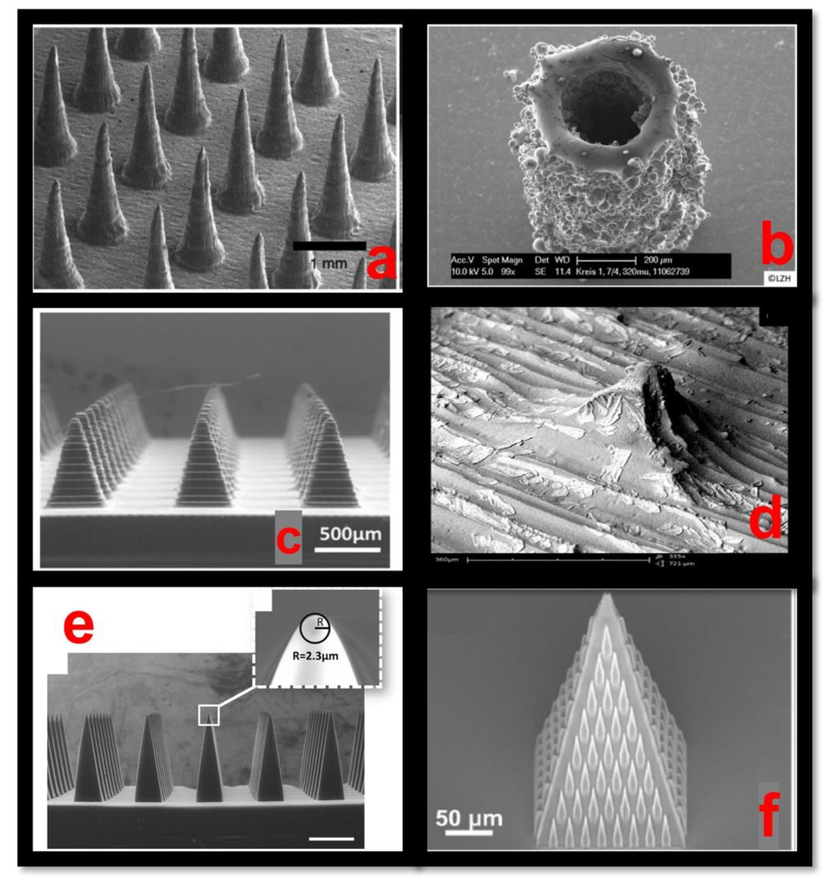 Pharmaceutics 14 02693 g004