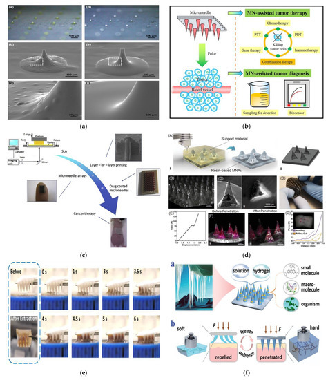 Pharmaceutics 14 02693 g005