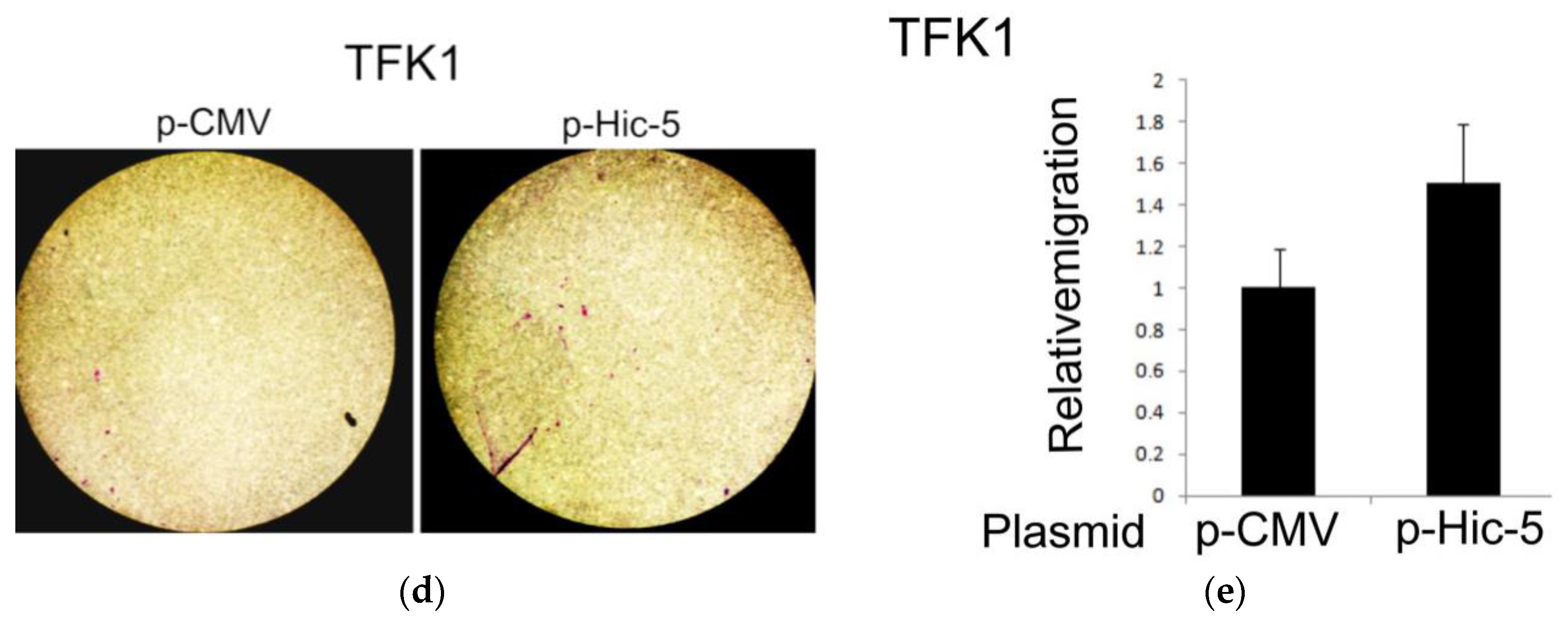 Pharmaceutics 14 02698 g002b