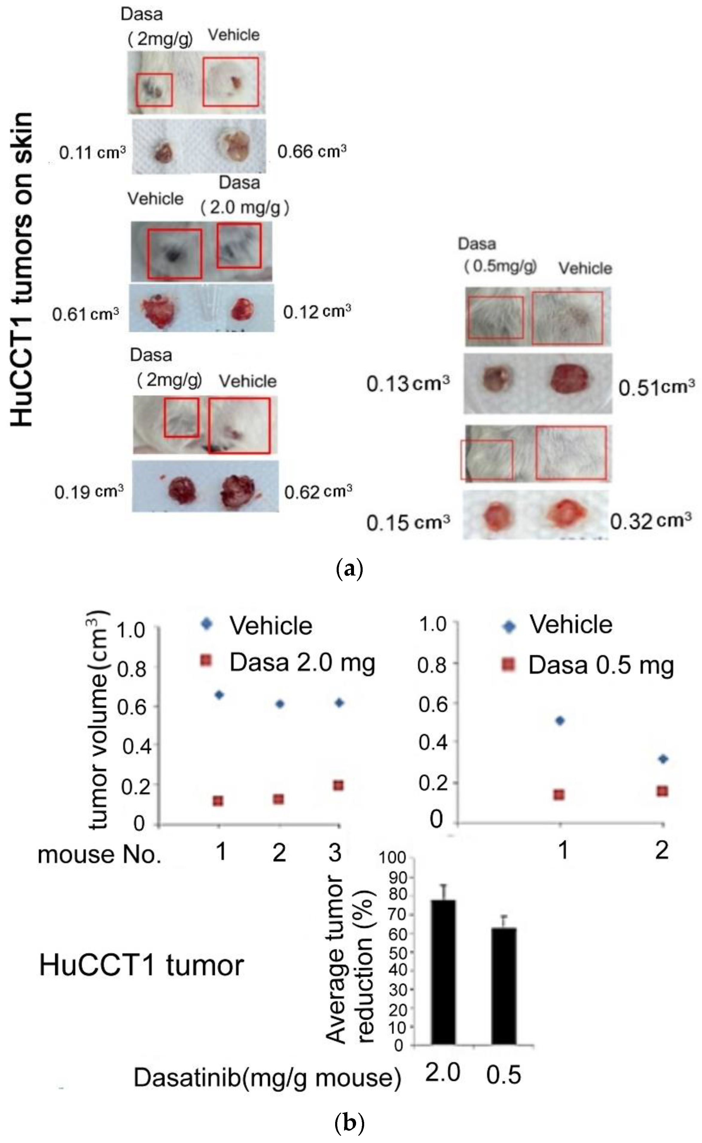 Pharmaceutics 14 02698 g003a