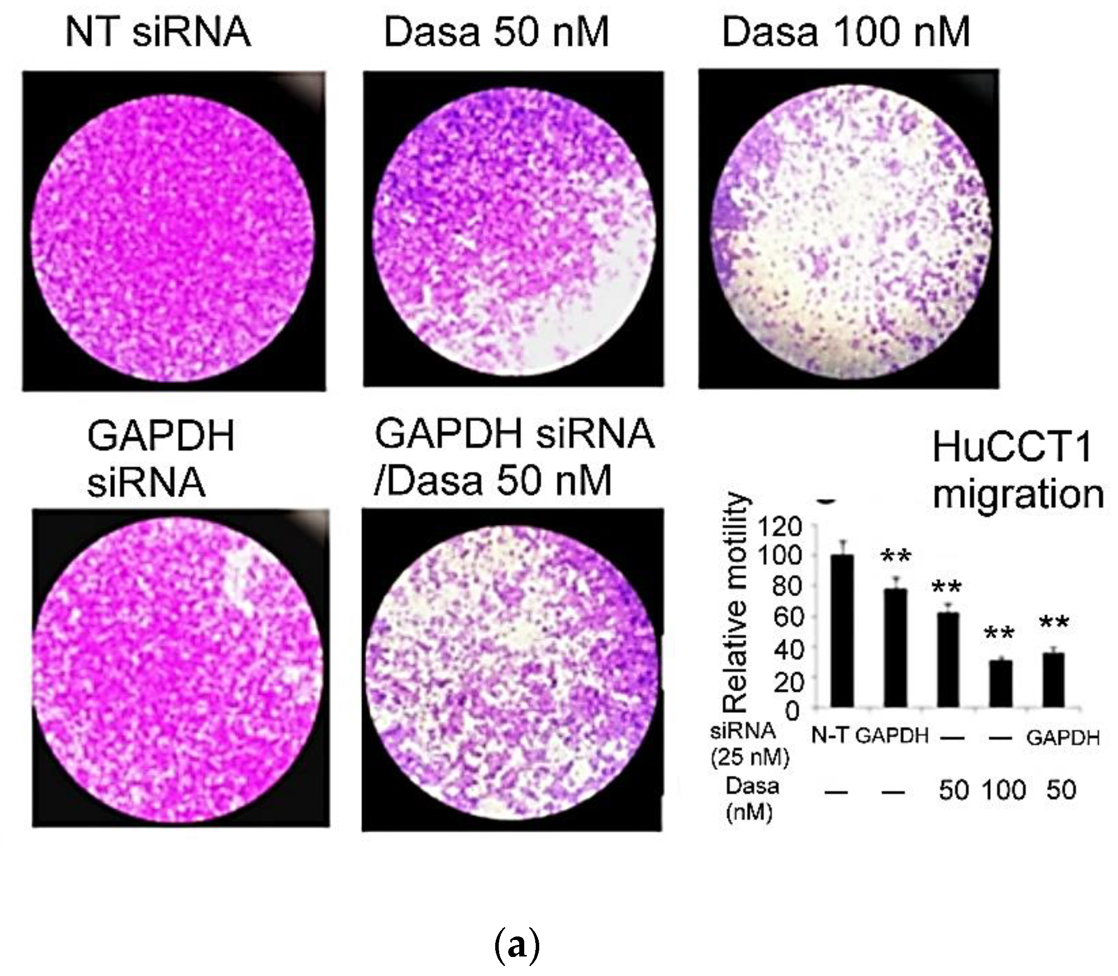 Pharmaceutics 14 02698 g005a