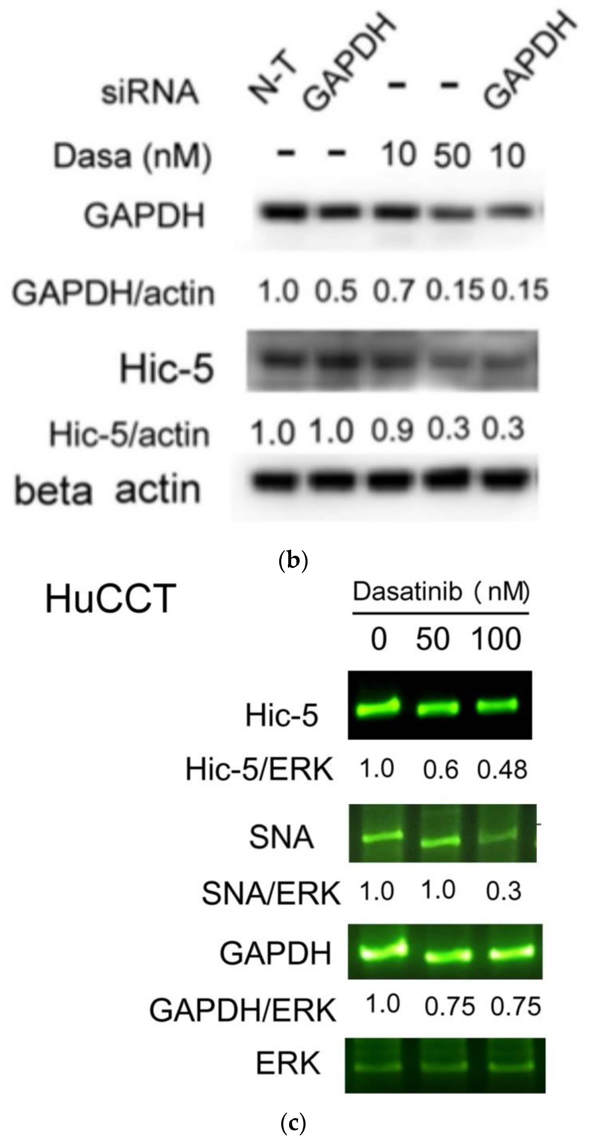 Pharmaceutics 14 02698 g005b