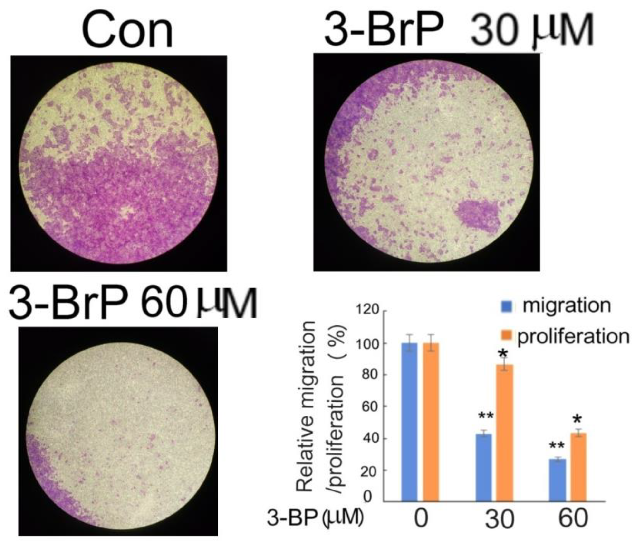 Pharmaceutics 14 02698 g006