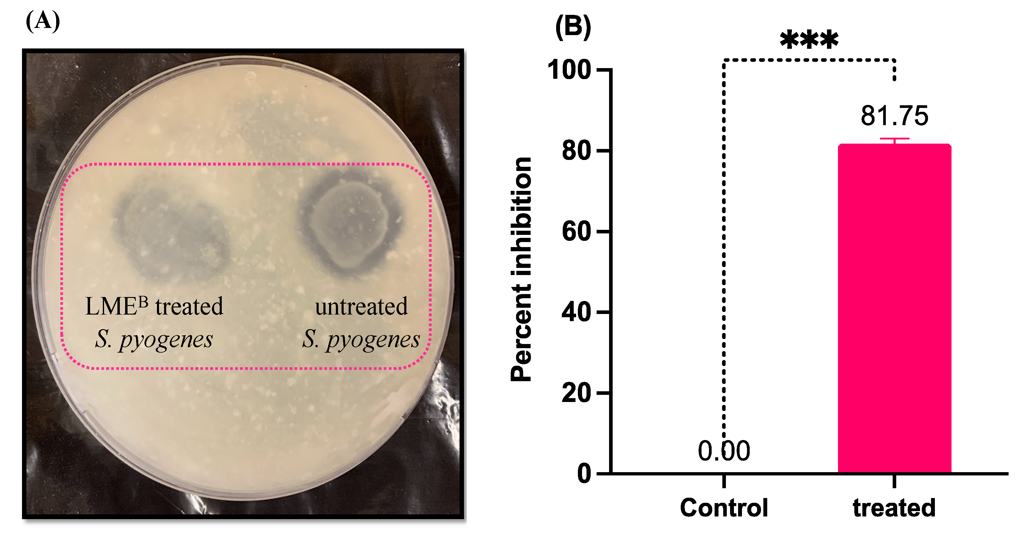 Pharmaceutics 14 02702 g003 Pharmaceutics 14 02702 g003
