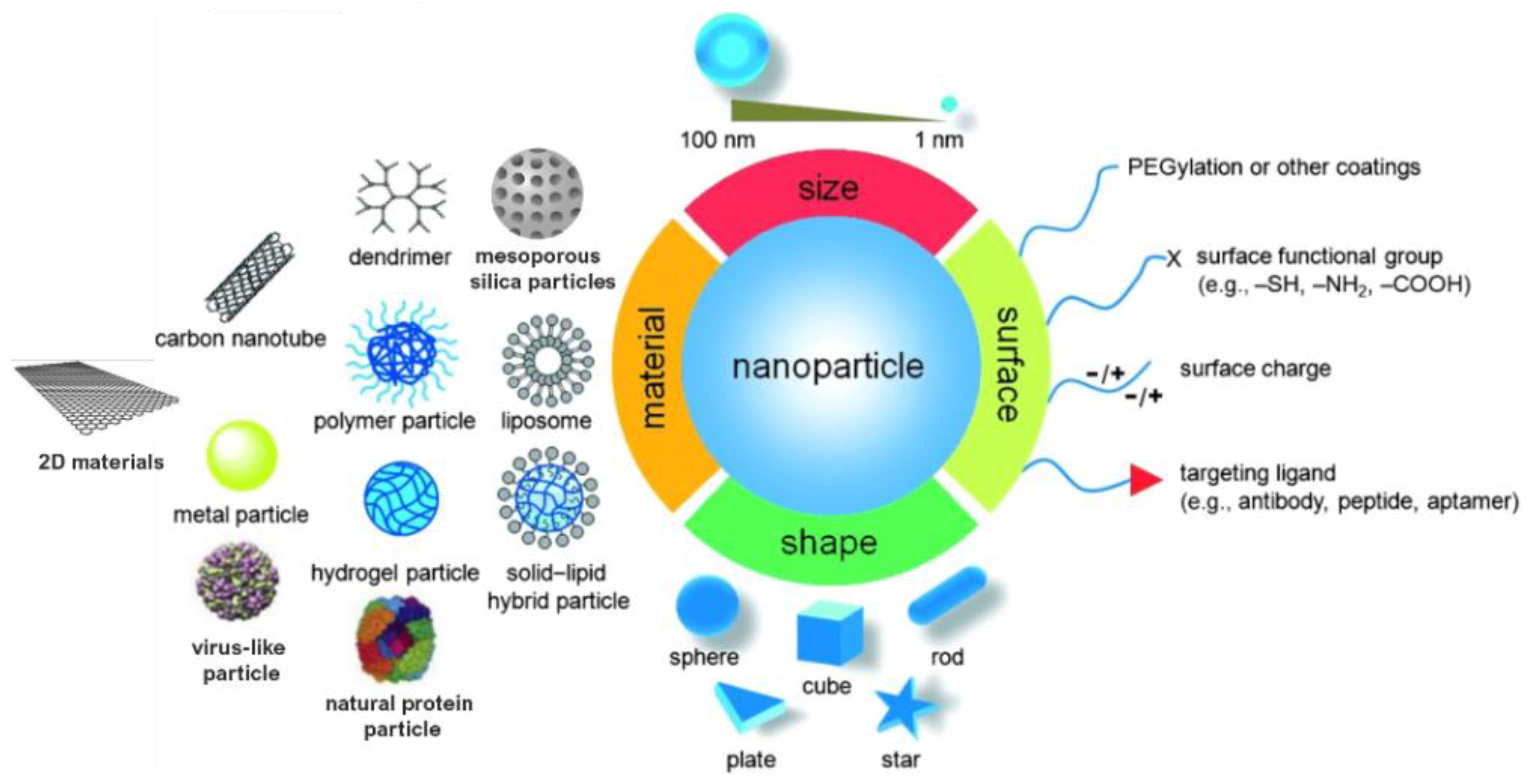 Pharmaceutics 14 02703 g001
