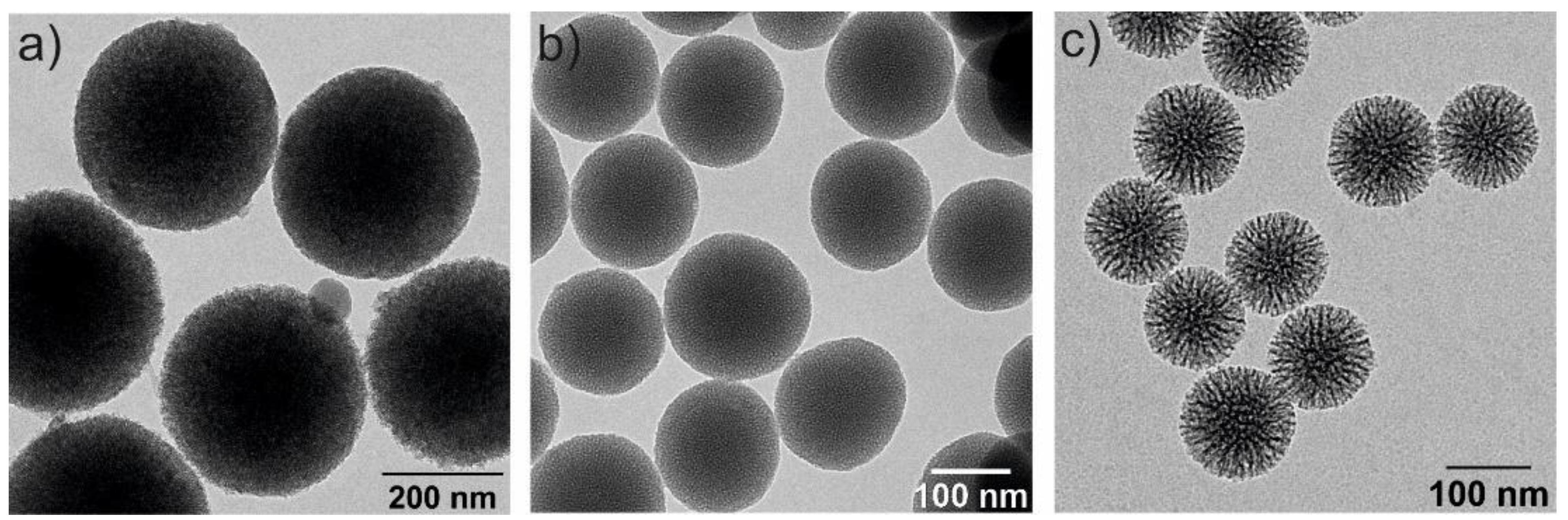 Pharmaceutics 14 02703 g003