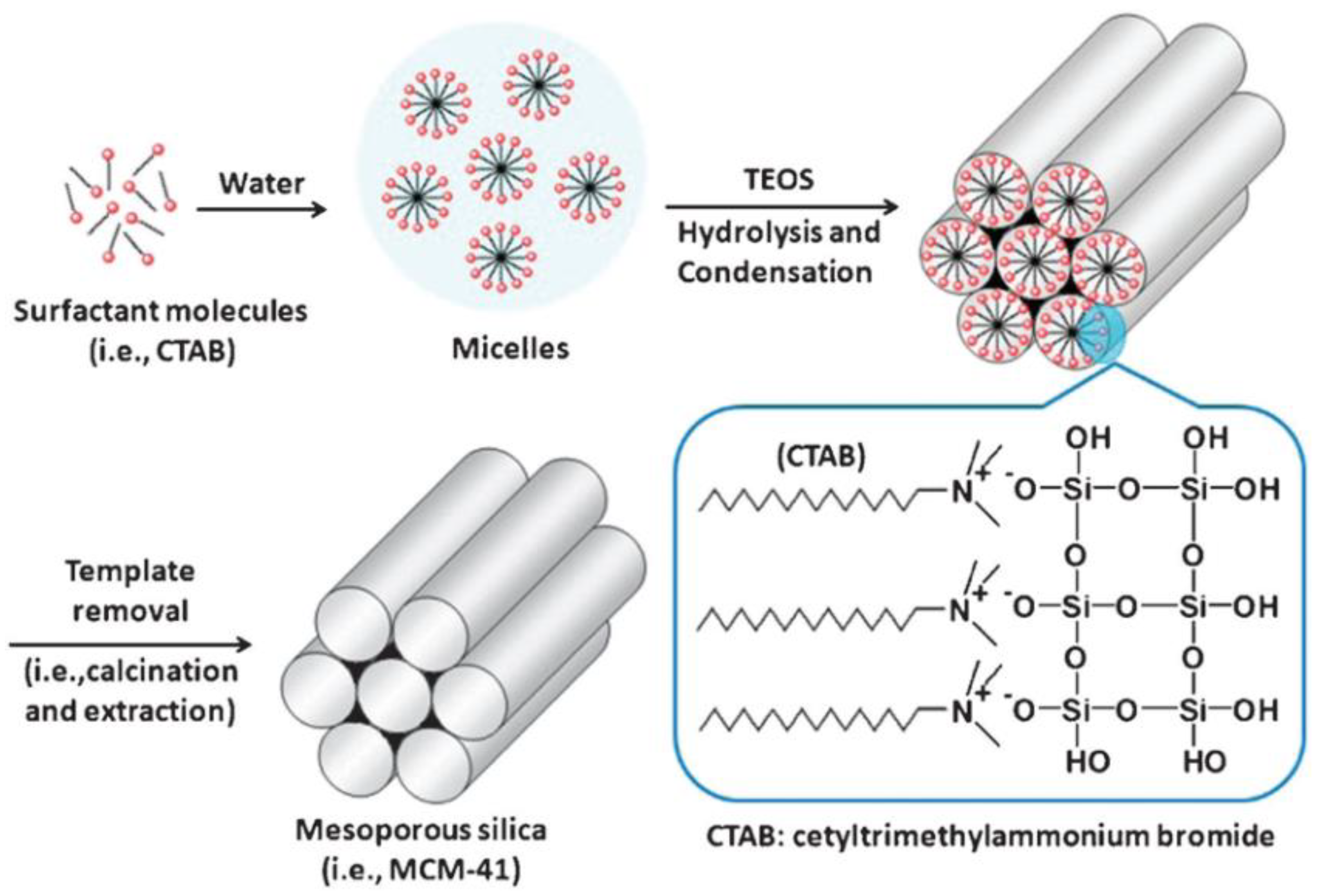 Pharmaceutics 14 02703 g004