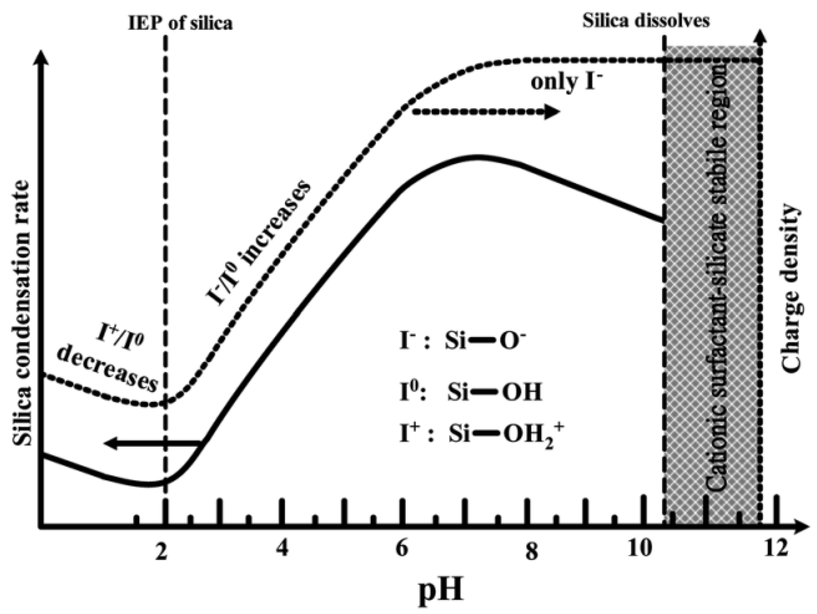 Pharmaceutics 14 02703 g006