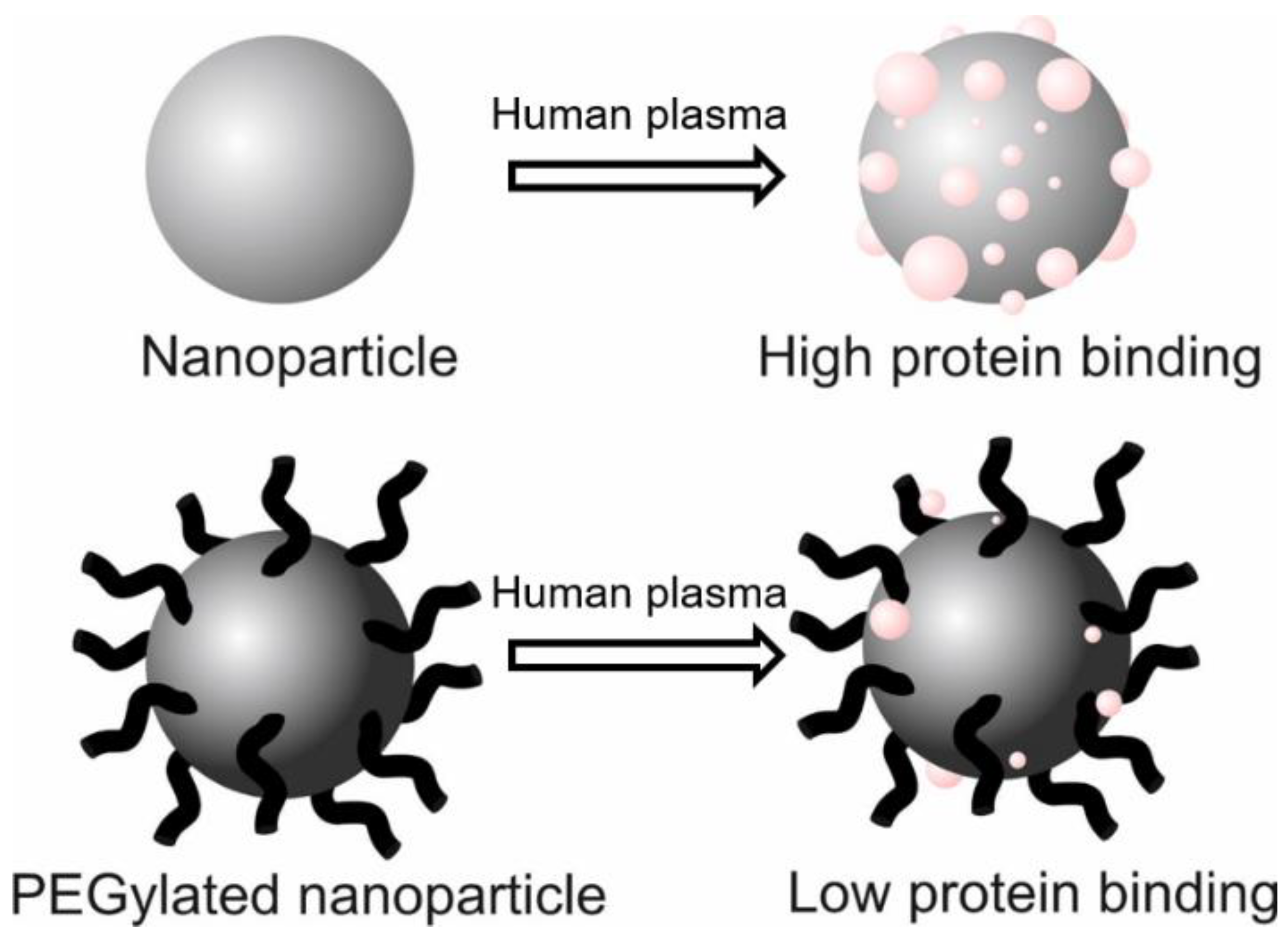 Pharmaceutics 14 02703 g008