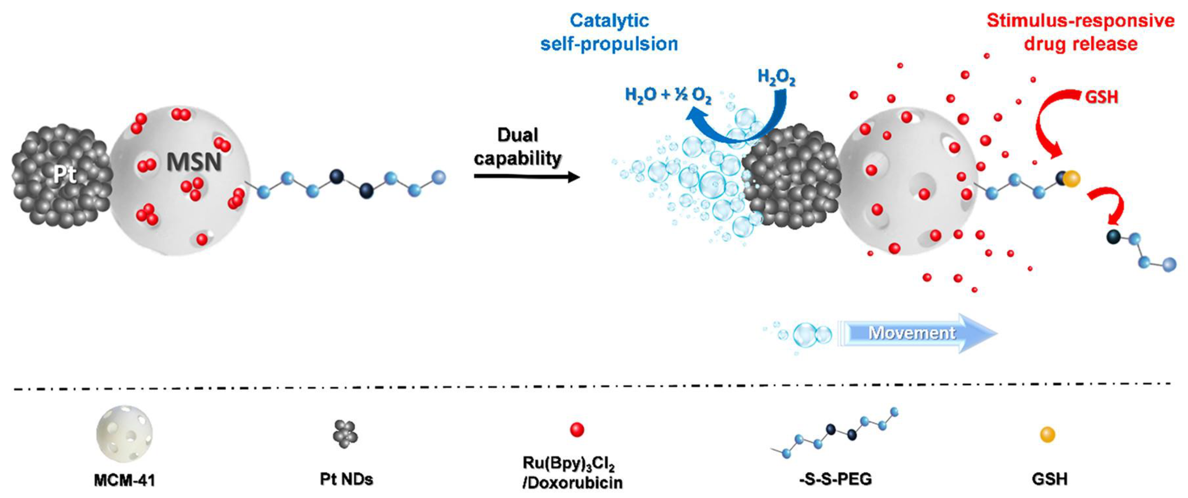Pharmaceutics 14 02703 g009