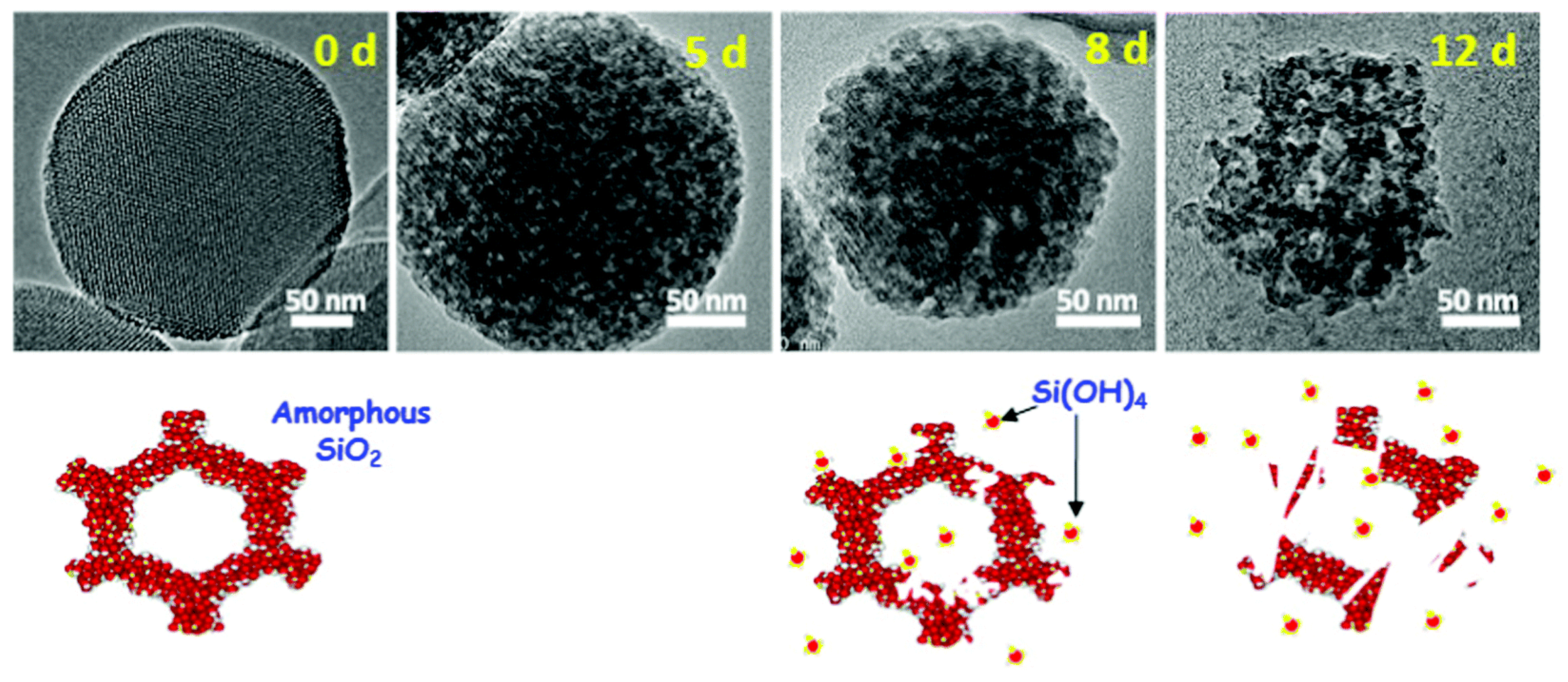 Pharmaceutics 14 02703 g010
