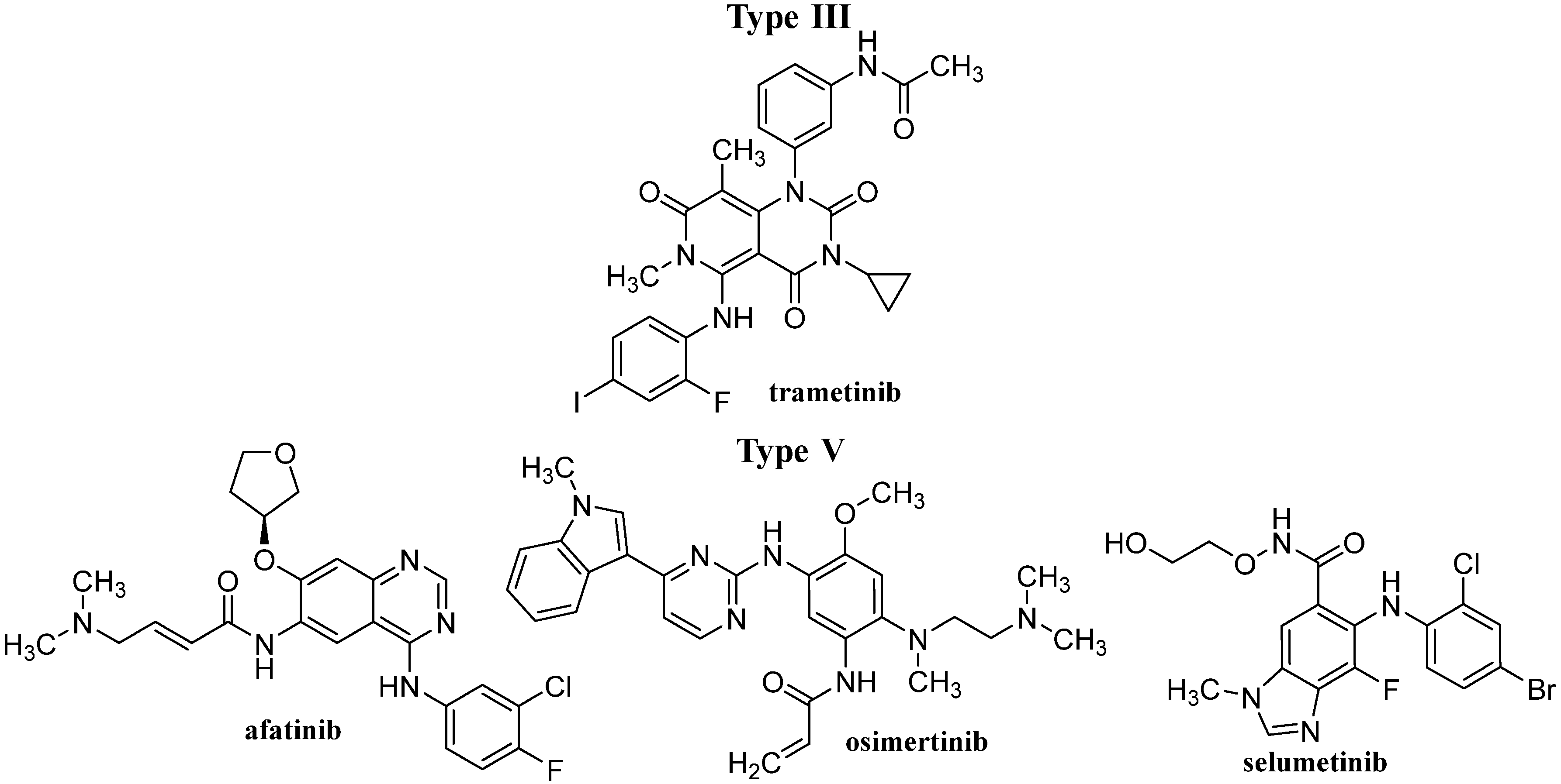 Pharmaceutics 14 02706 g005