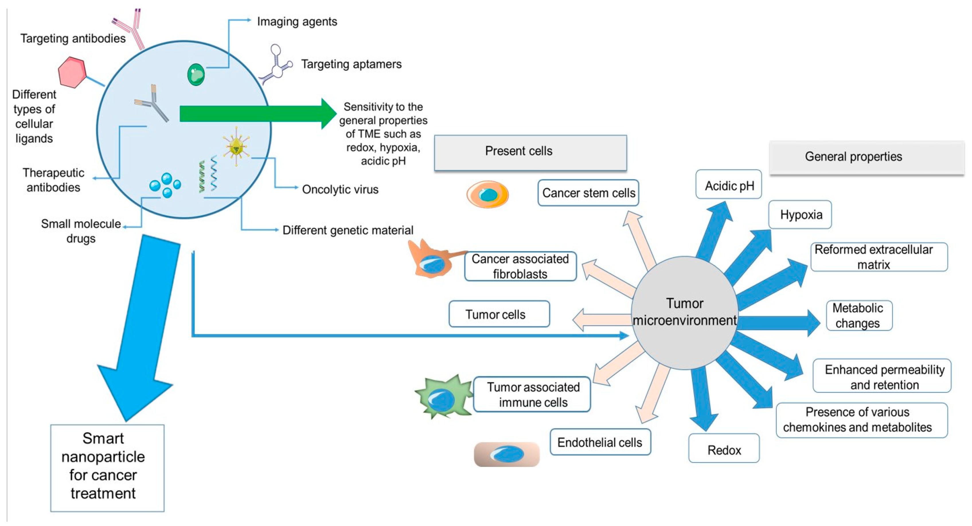 Pharmaceutics 14 02708 g001