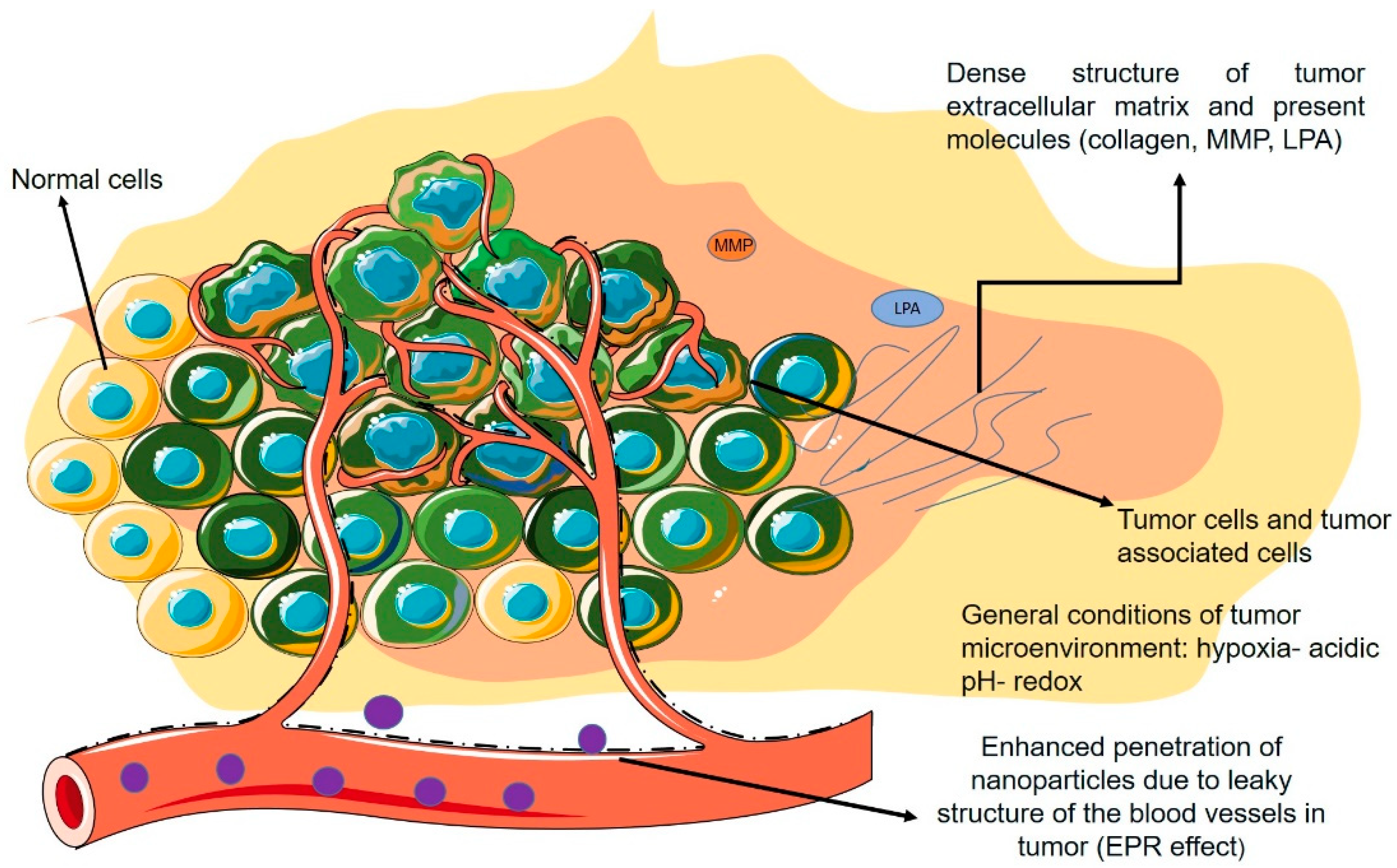 Pharmaceutics 14 02708 g003