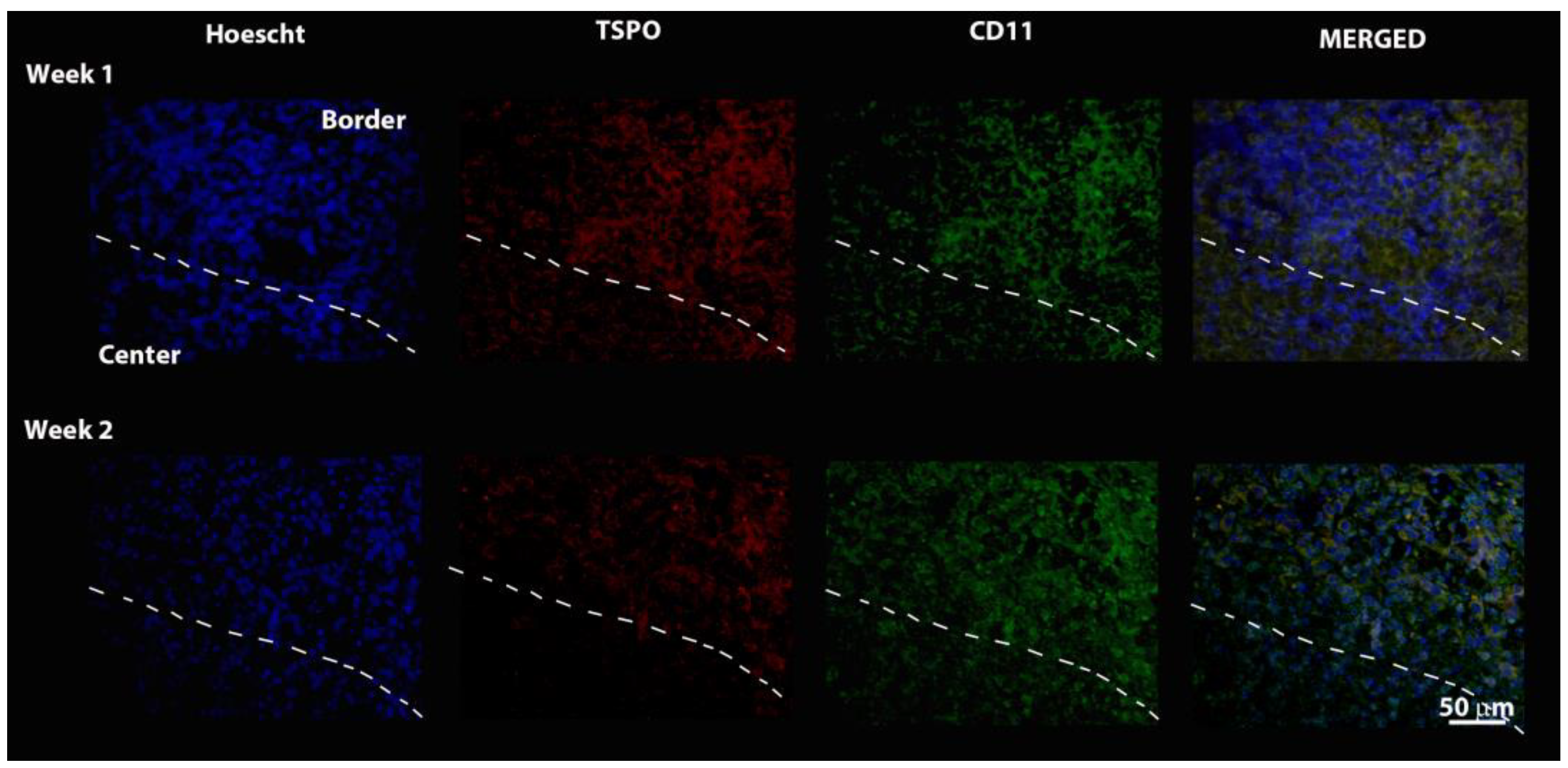 Pharmaceutics 14 02715 g007