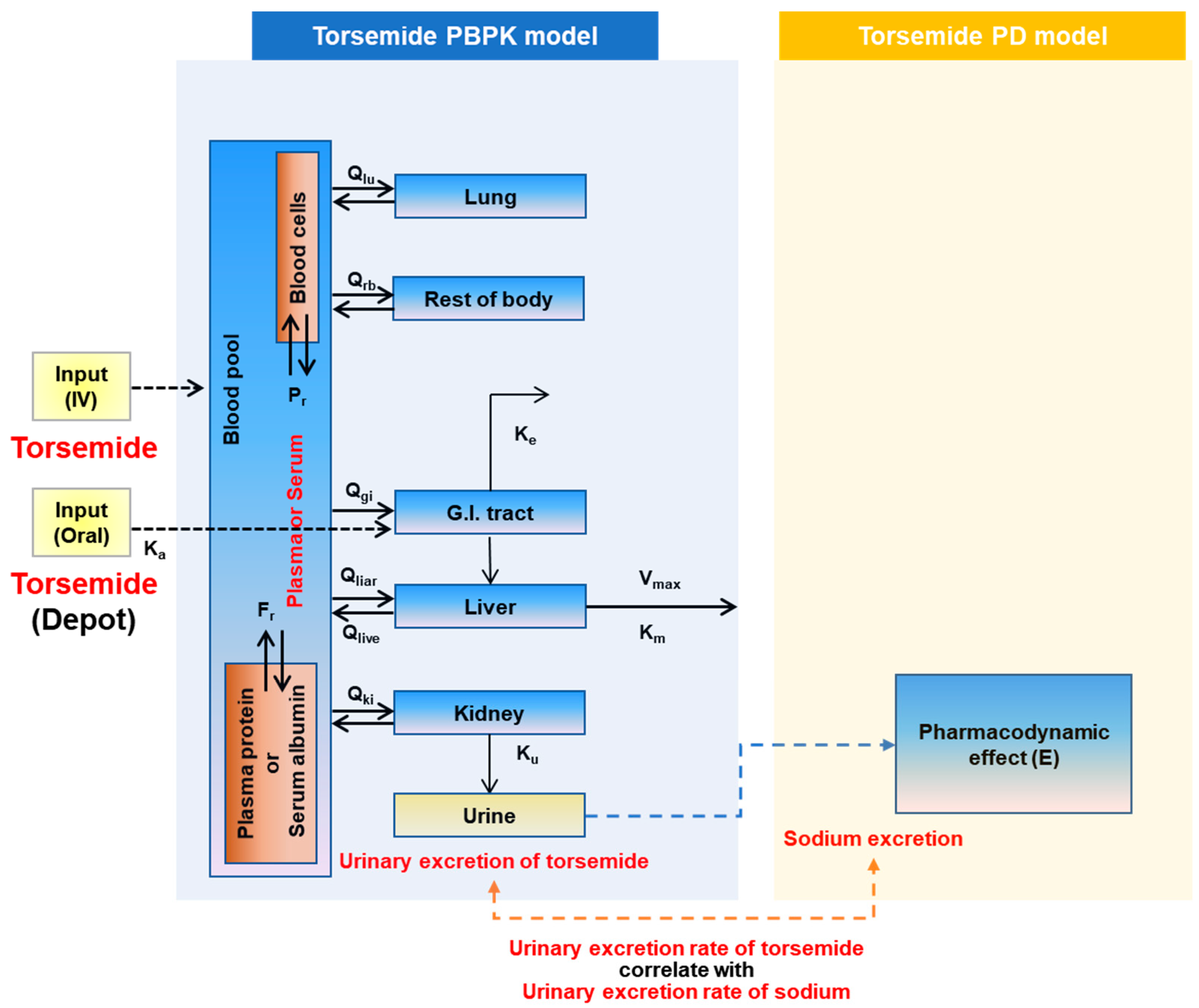 Pharmaceutics 14 02720 g002