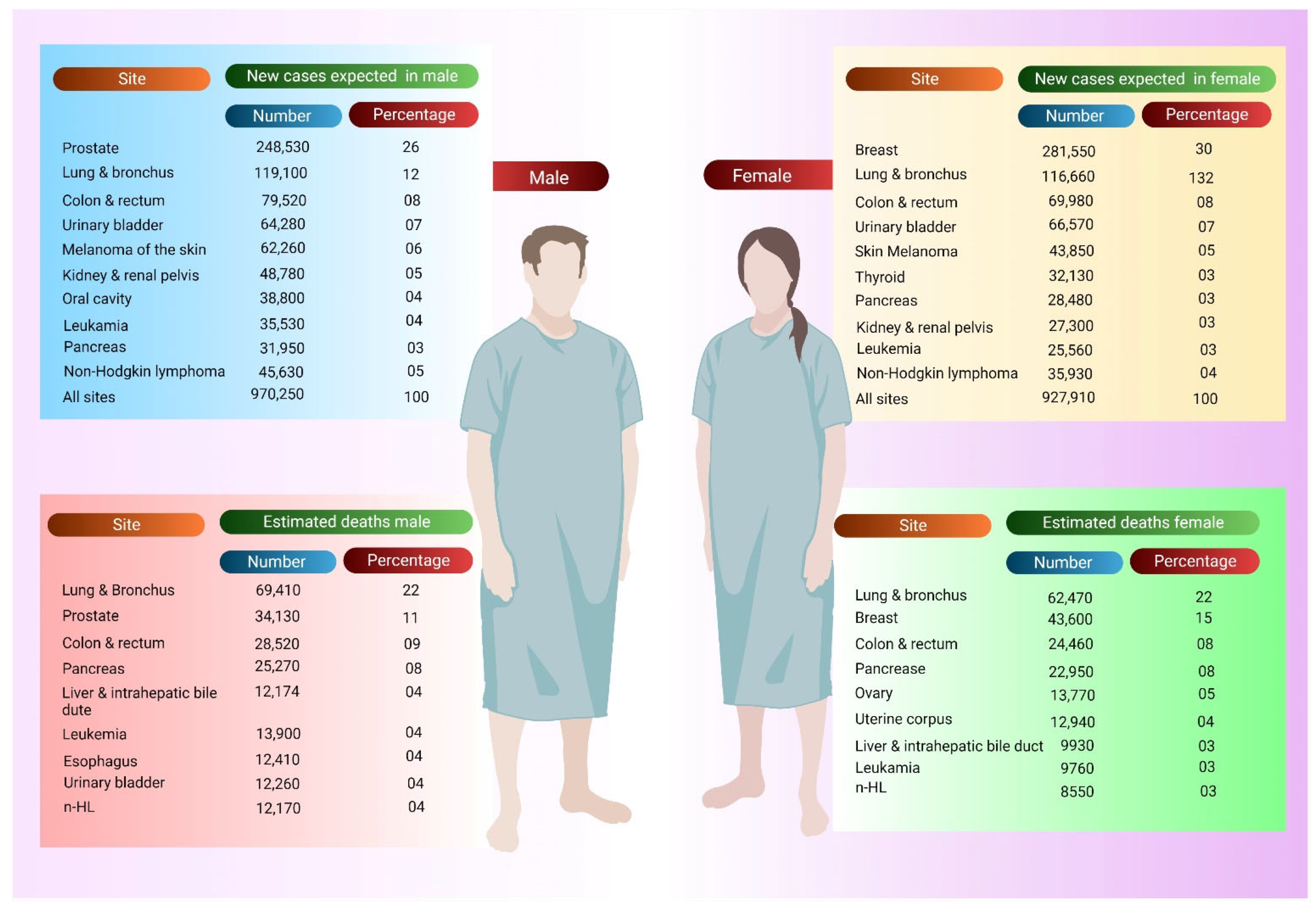Pharmaceutics 14 02721 g001