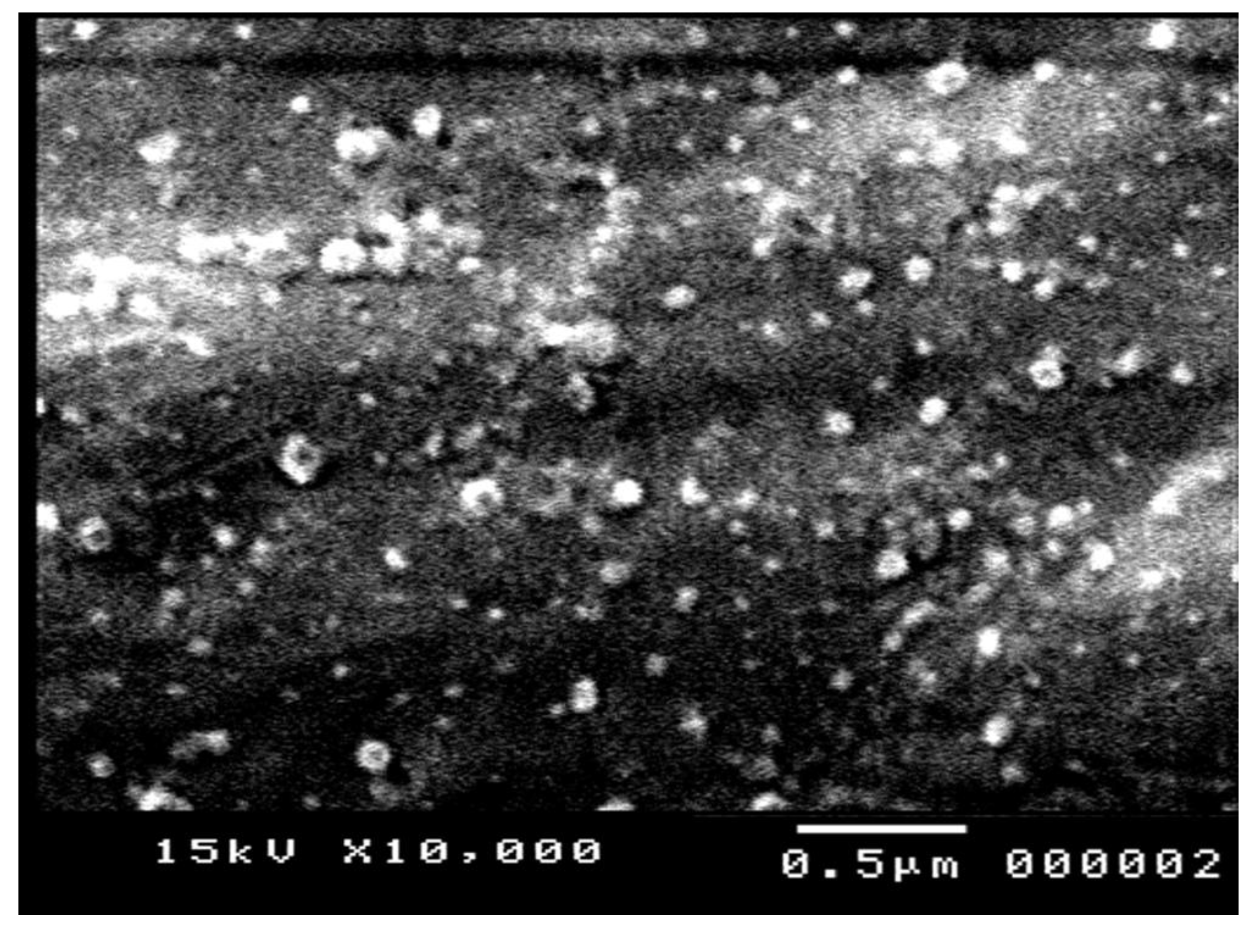 Pharmaceutics 14 02727 g005