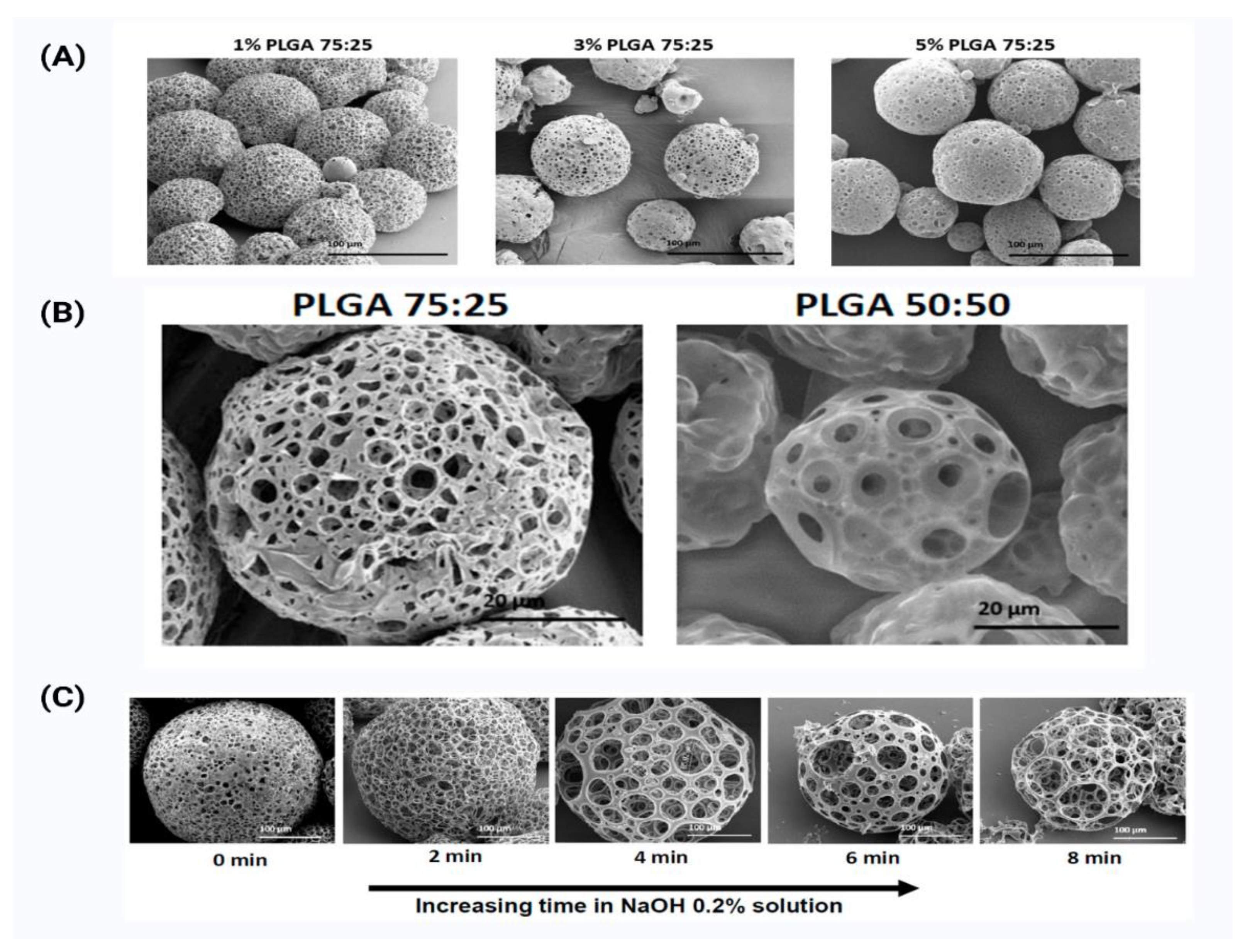 Pharmaceutics 14 02728 g003