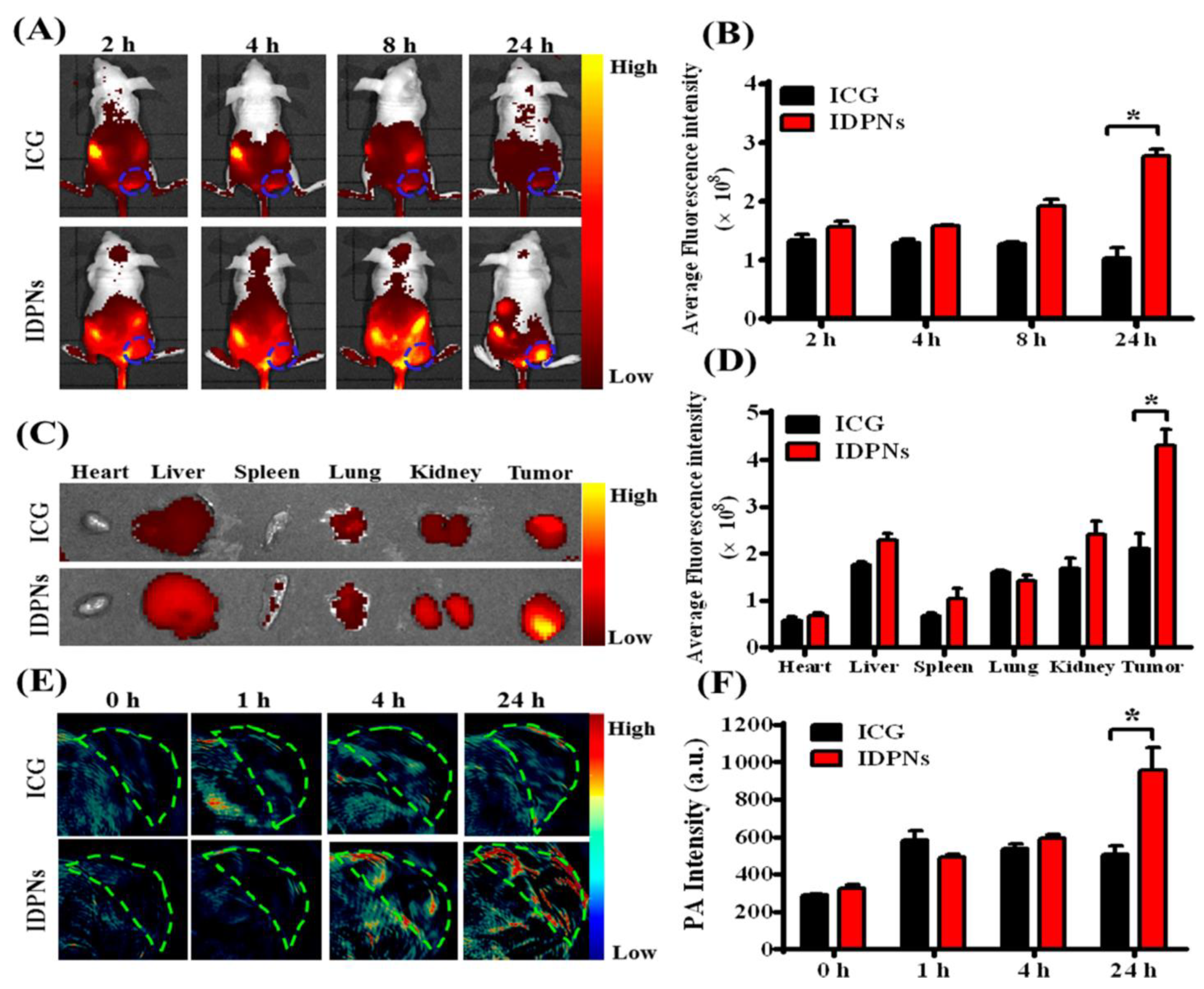 Pharmaceutics 14 02728 g007