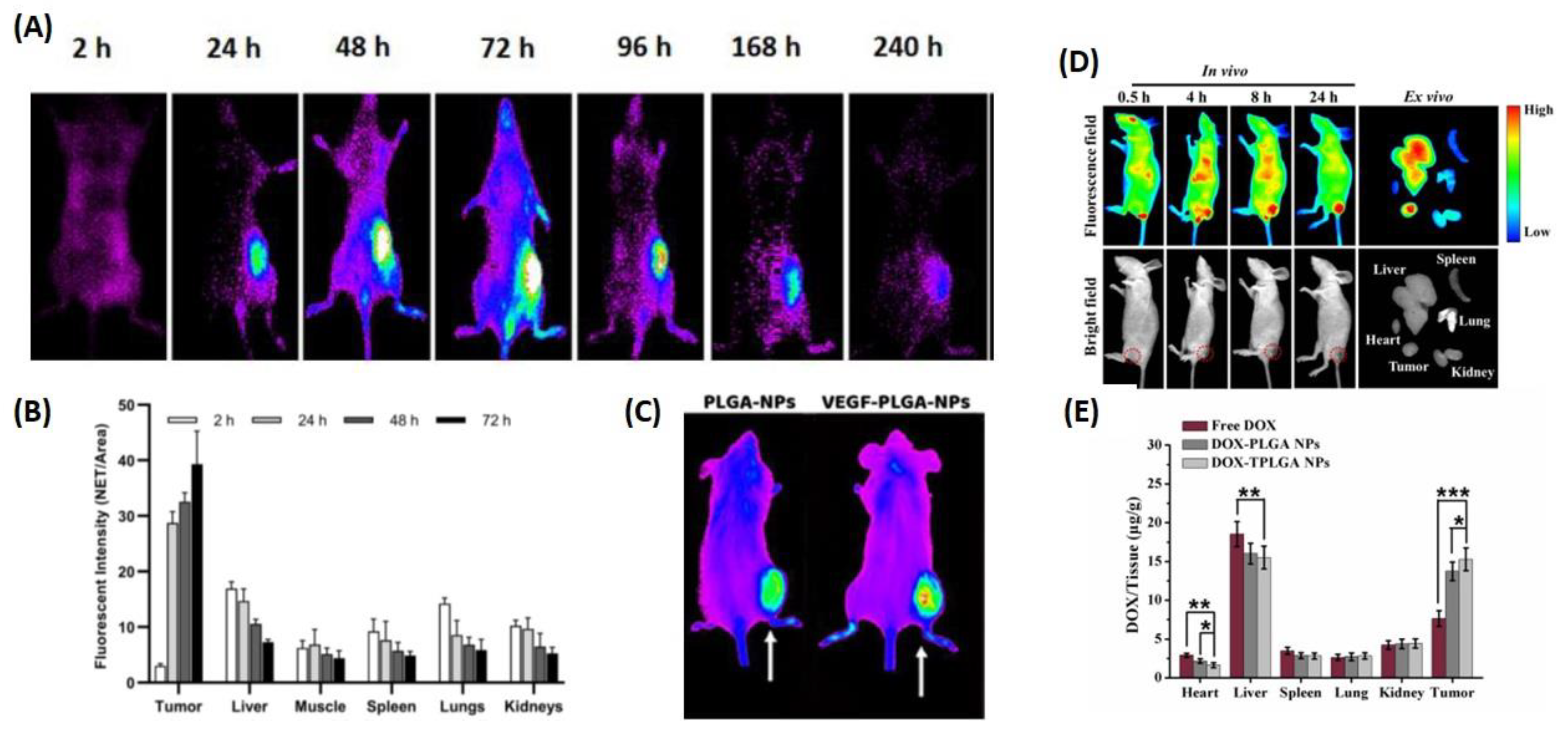 Pharmaceutics 14 02728 g008