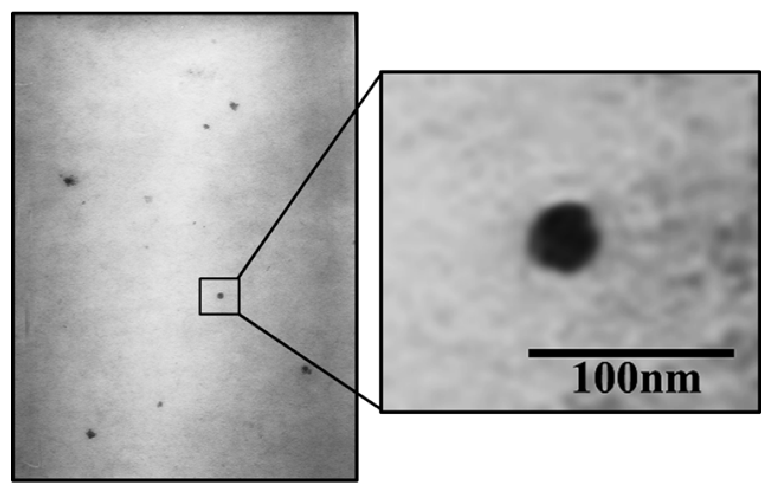 Pharmaceutics 14 02741 g005