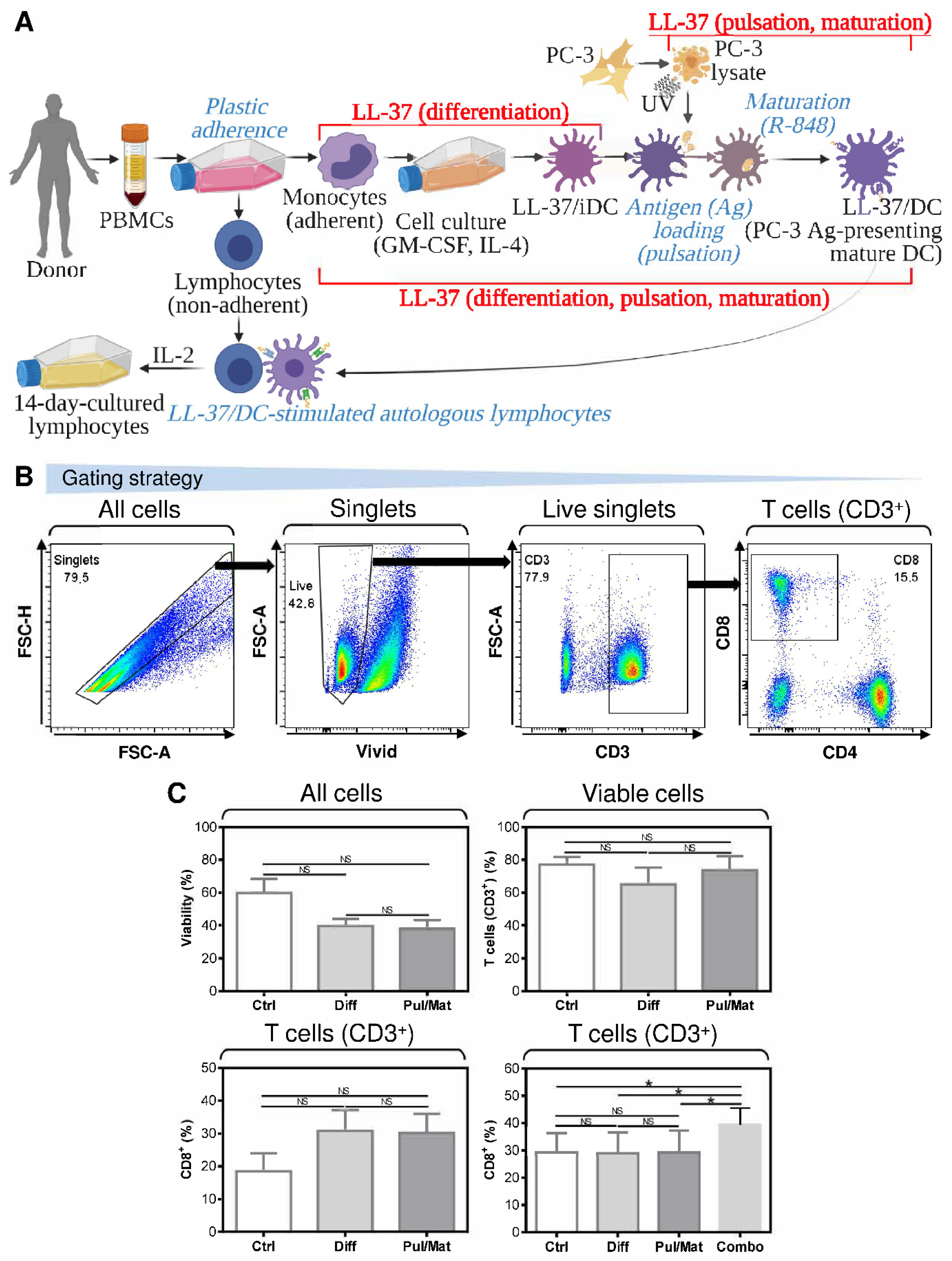 Pharmaceutics 14 02747 g001