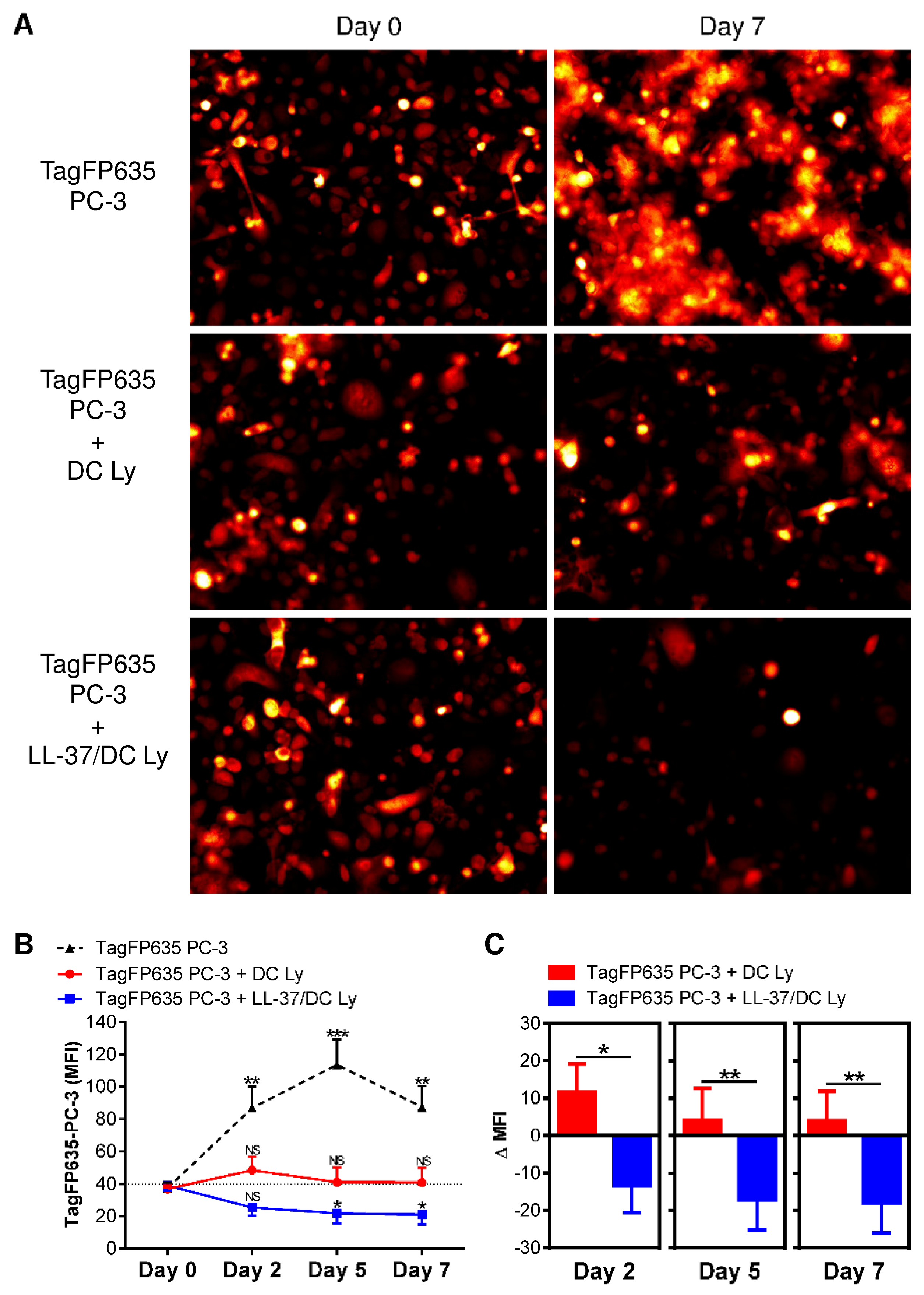 Pharmaceutics 14 02747 g006