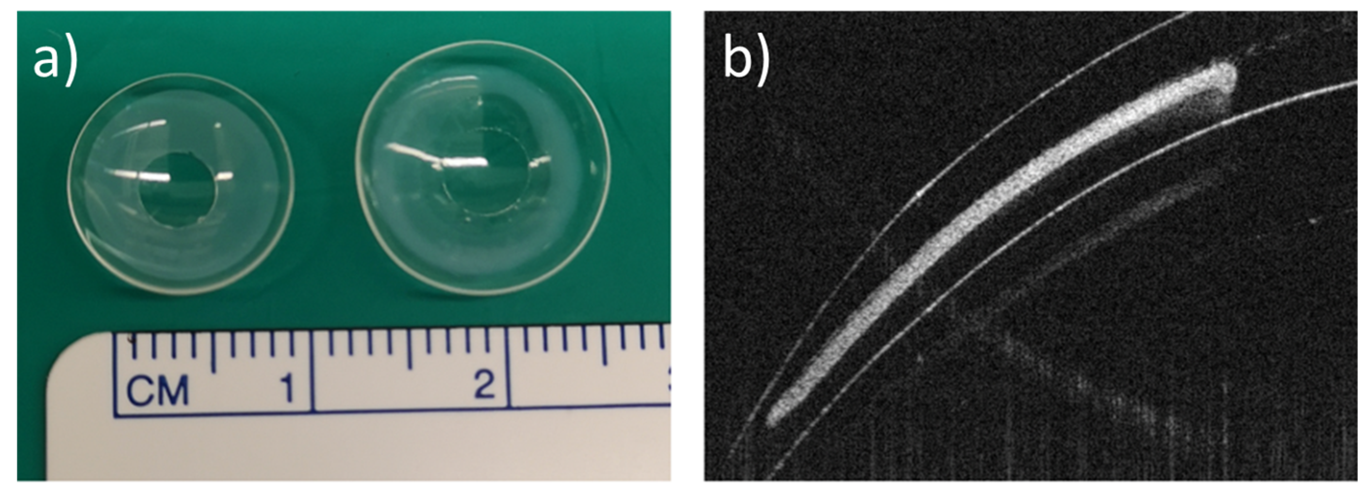 Pharmaceutics 14 02750 g001
