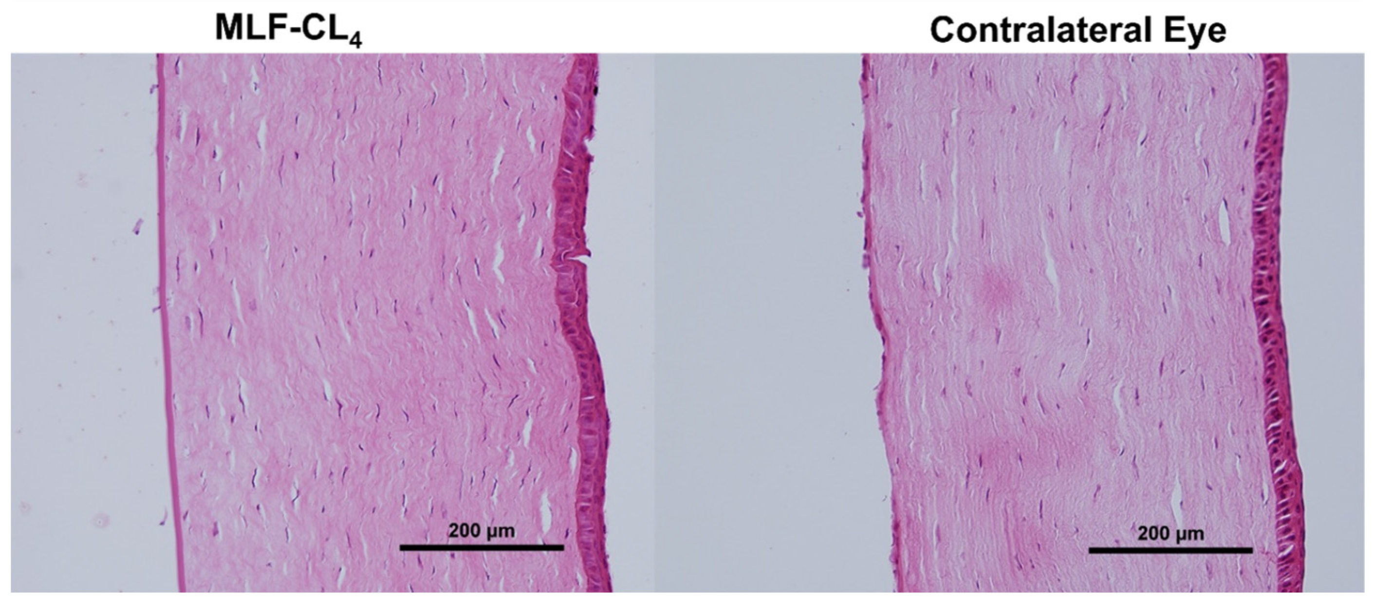 Pharmaceutics 14 02750 g008