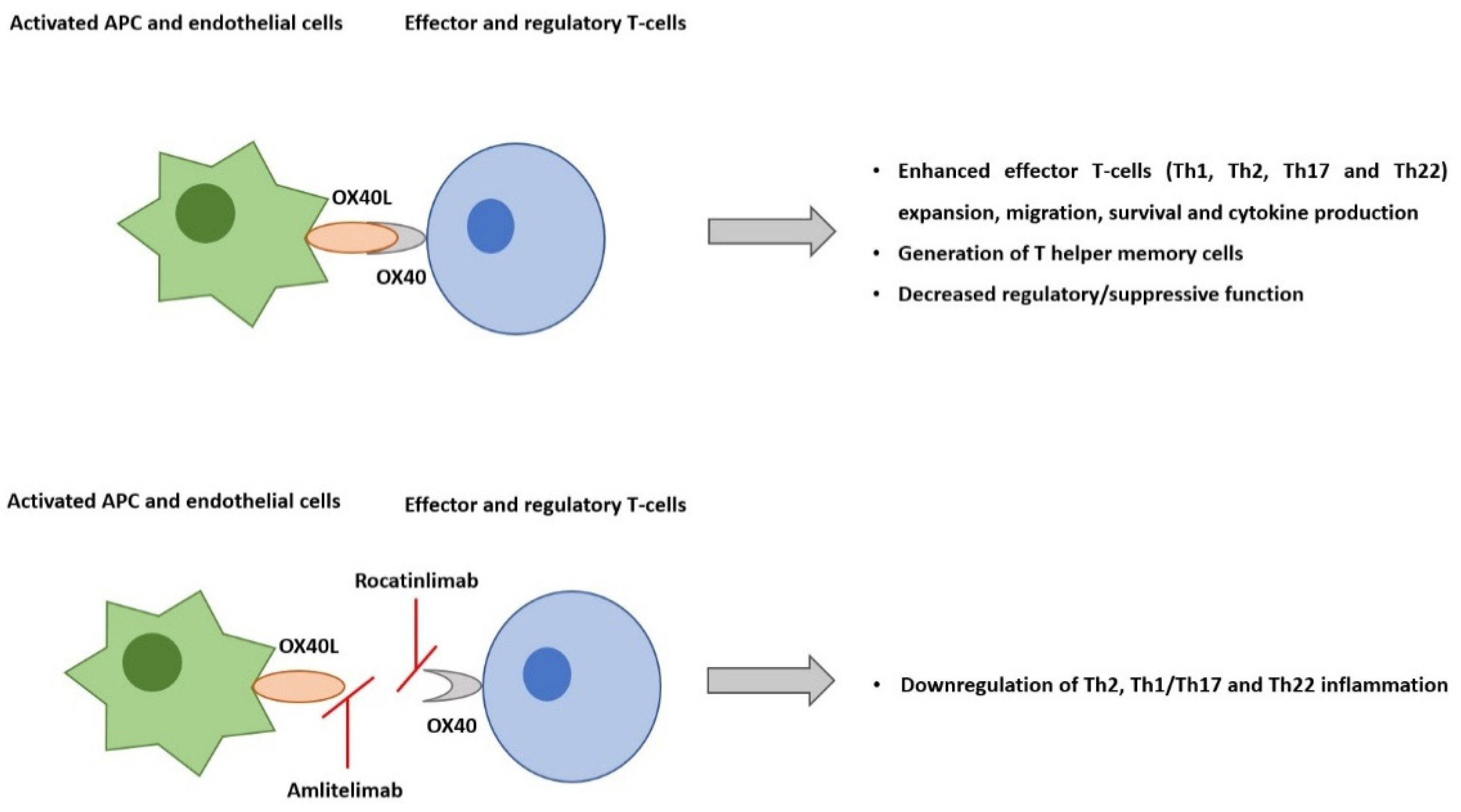 Pharmaceutics 14 02753 g001 Pharmaceutics 14 02753 g001