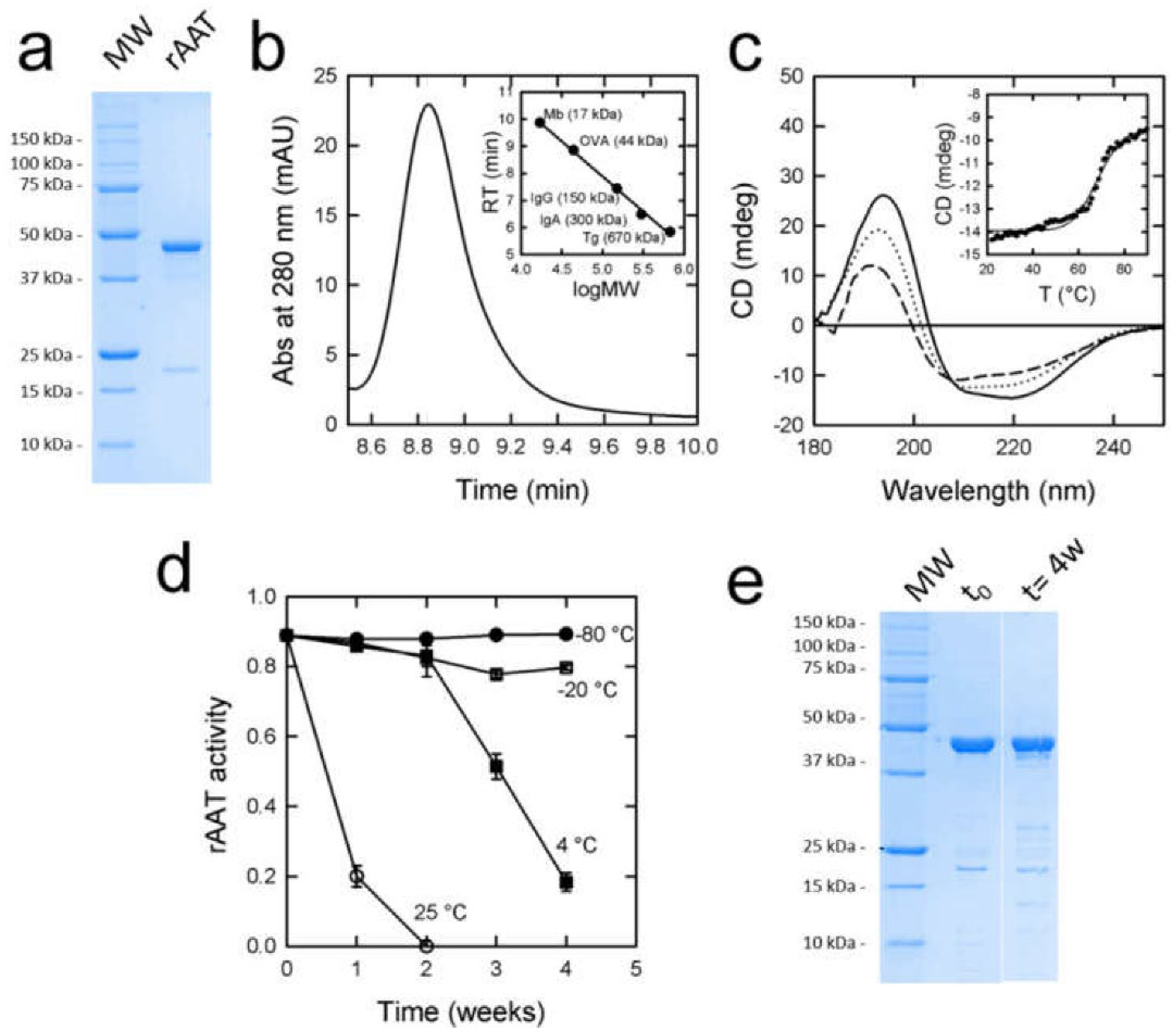 Pharmaceutics 14 02754 g001