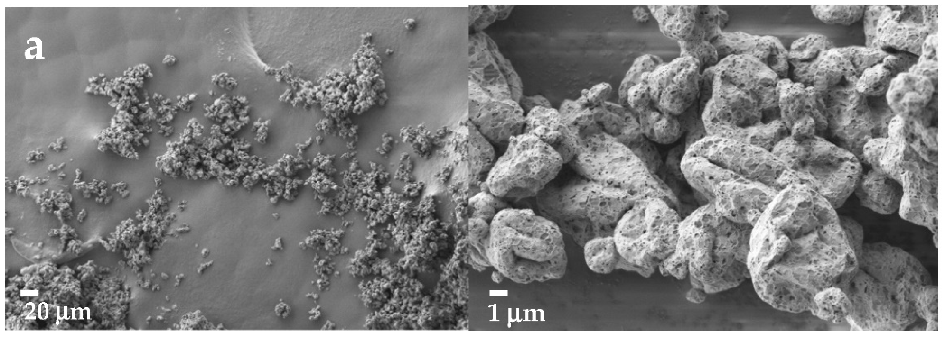 Pharmaceutics 14 02754 g002a