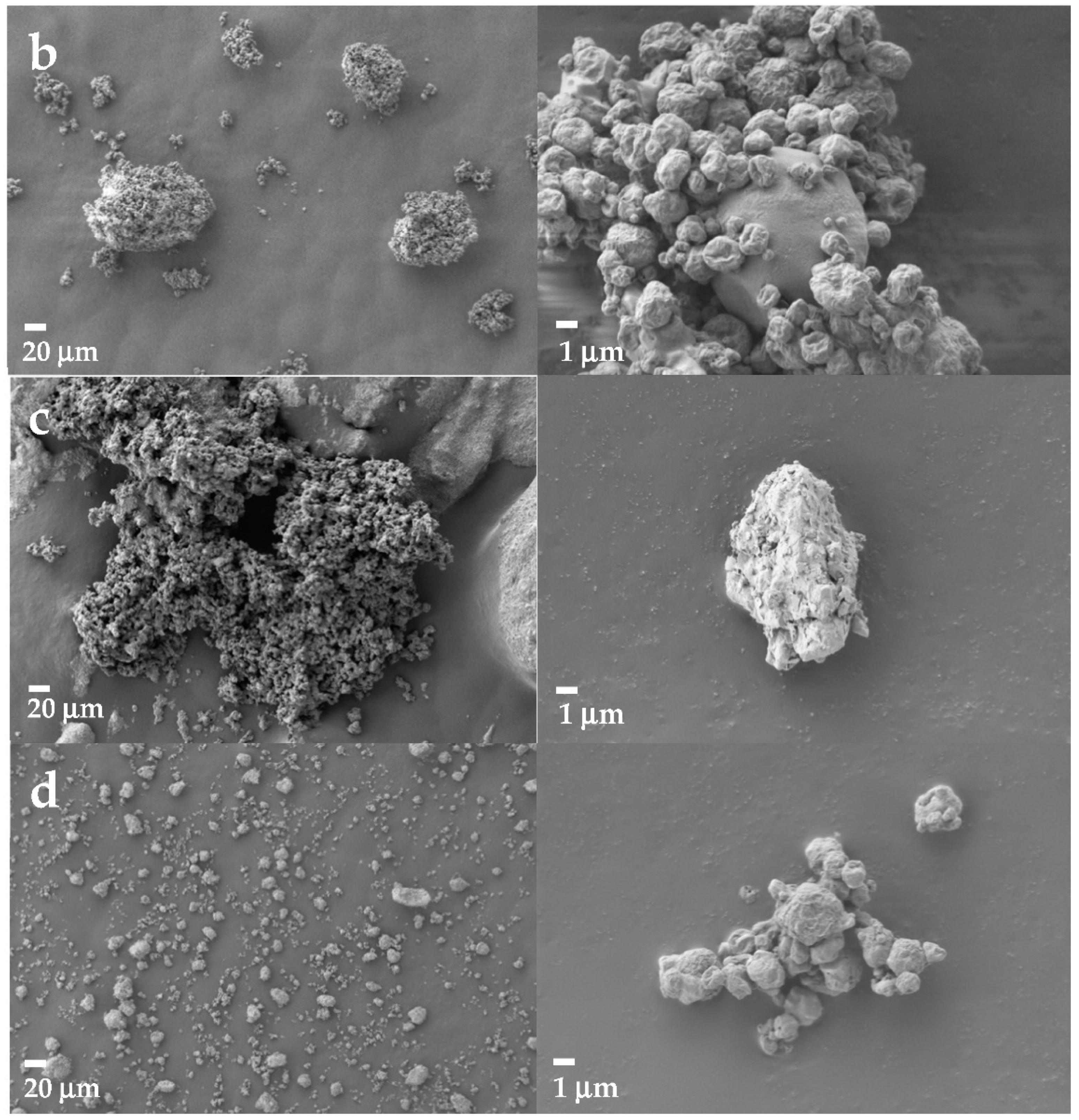 Pharmaceutics 14 02754 g002b