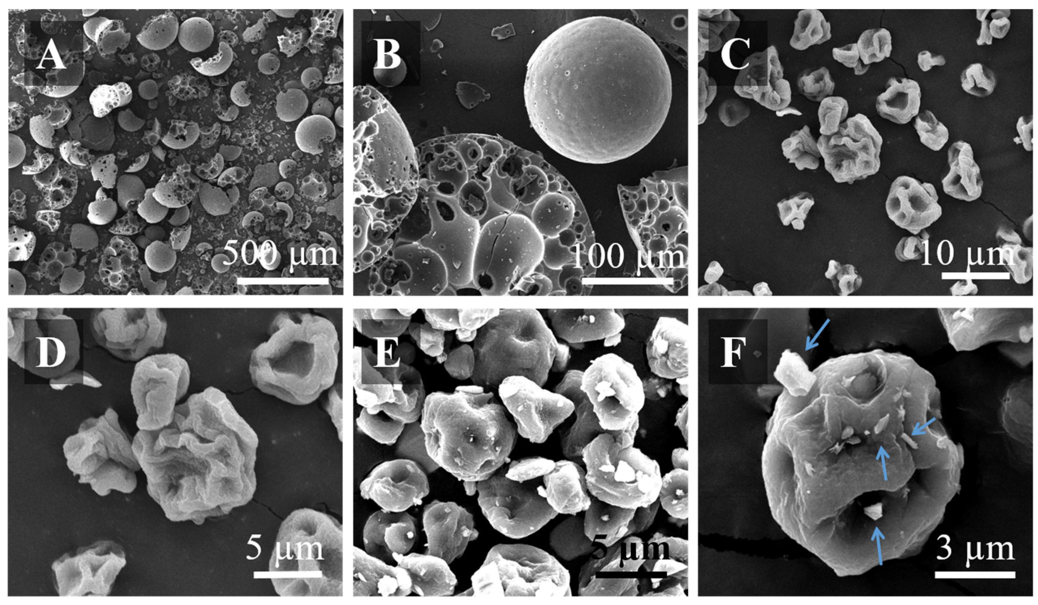 Pharmaceutics 14 02763 g002