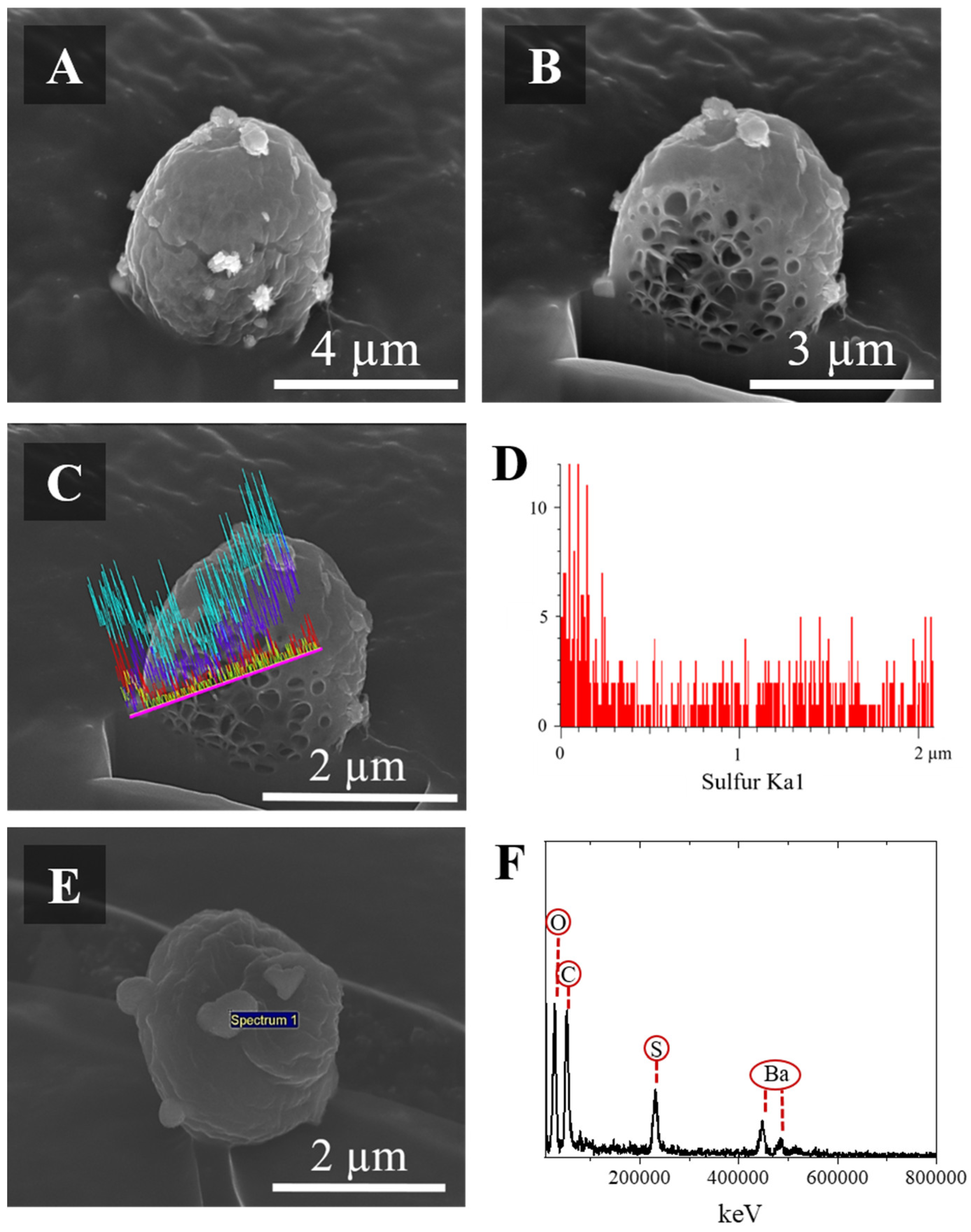 Pharmaceutics 14 02763 g003
