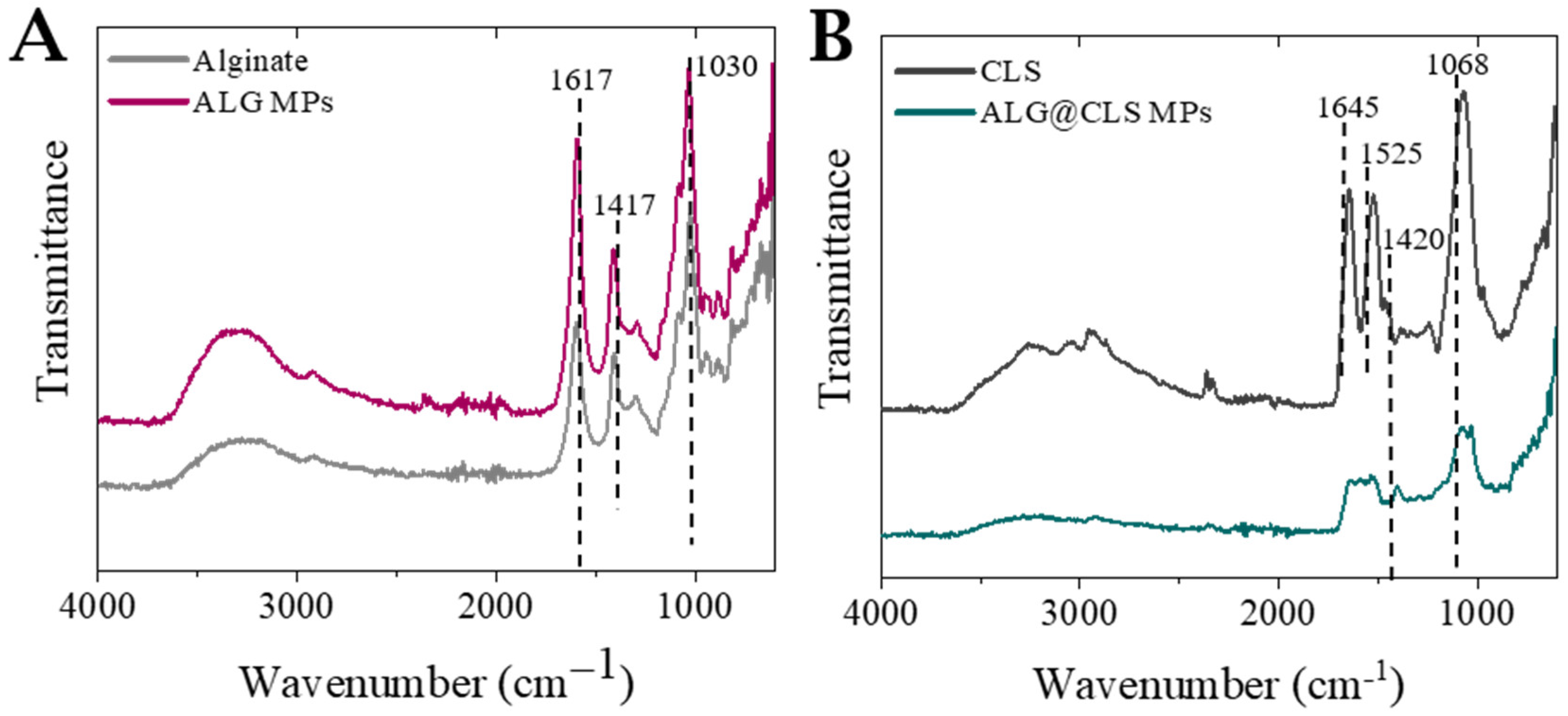 Pharmaceutics 14 02763 g004