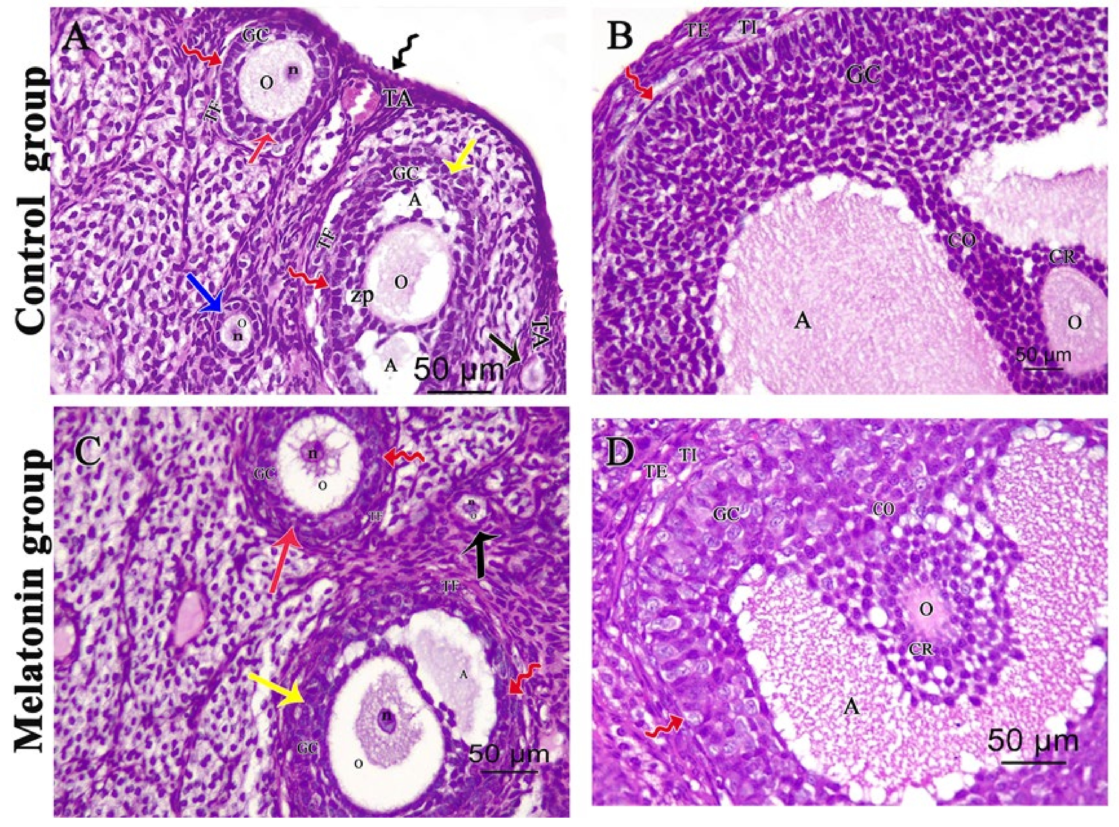 Pharmaceutics 14 02769 g002