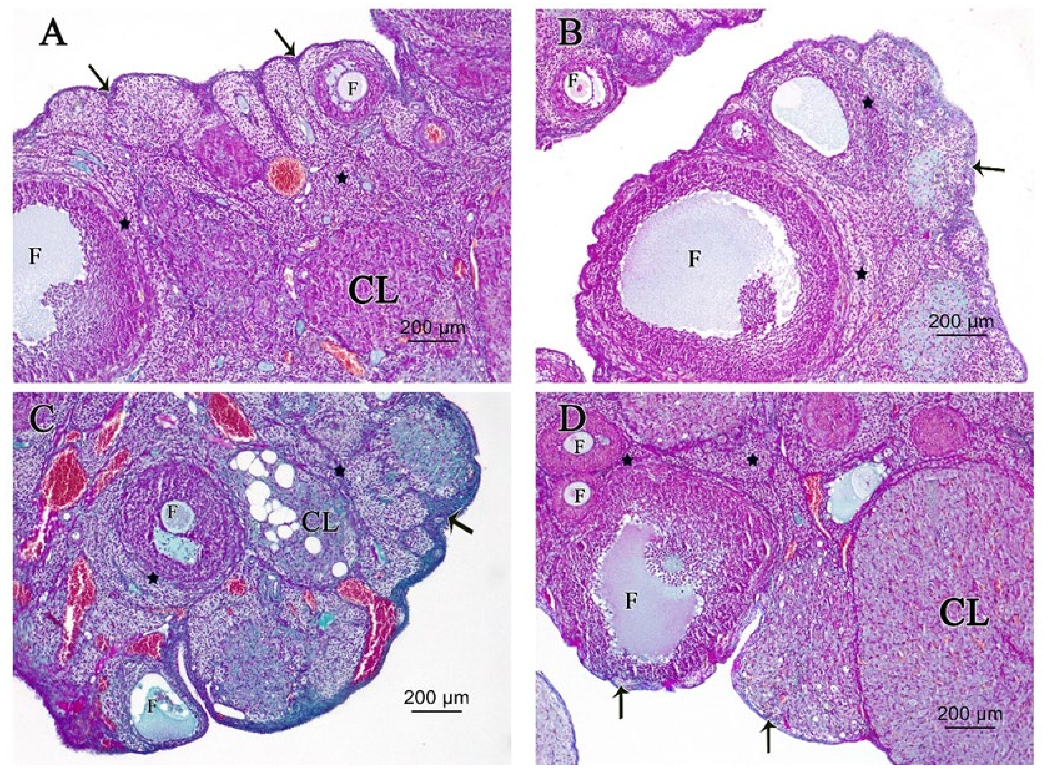 Pharmaceutics 14 02769 g006