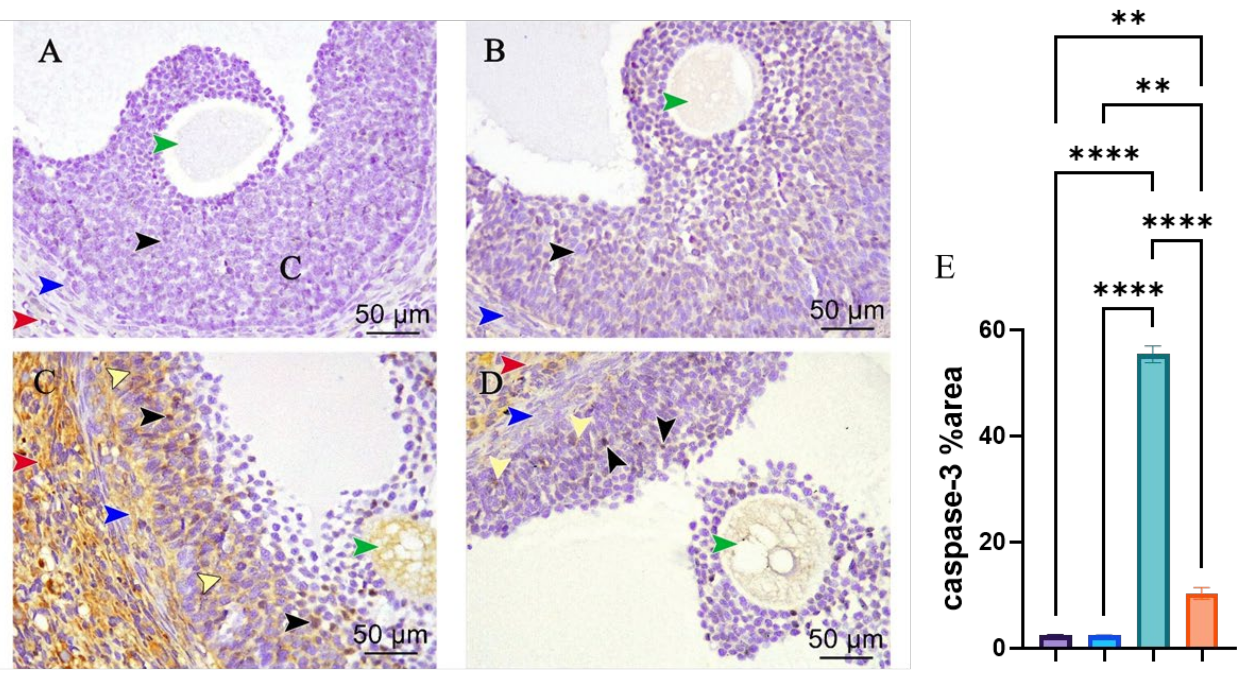 Pharmaceutics 14 02769 g007
